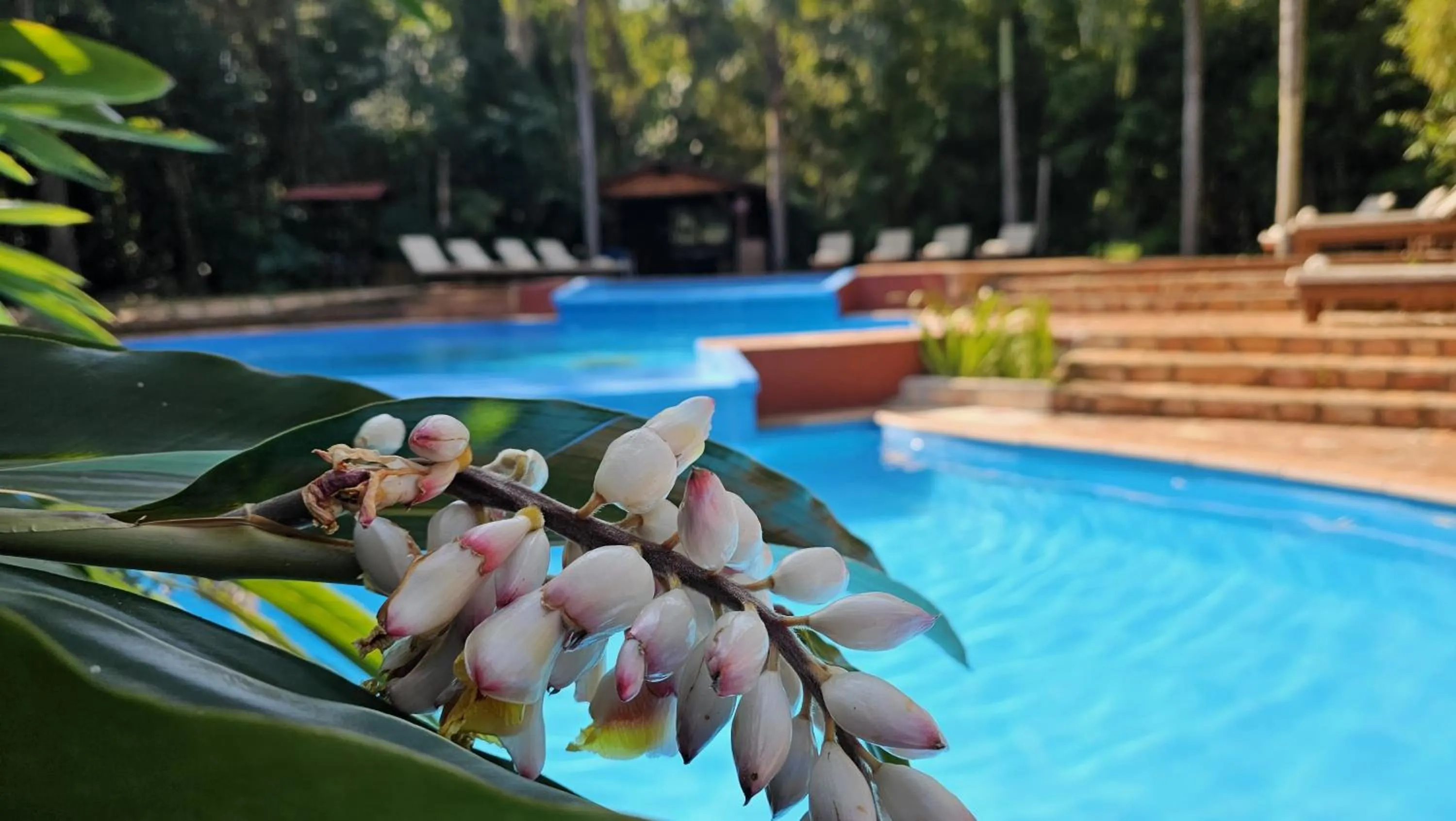 Day in La Aldea De La Selva Lodge