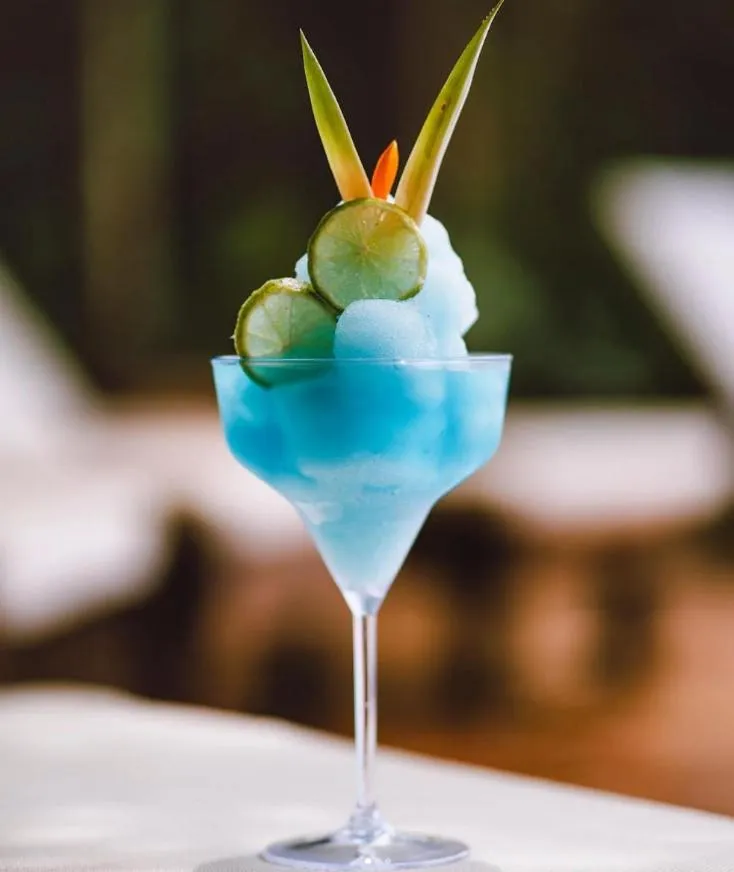 Drinks in La Aldea De La Selva Lodge