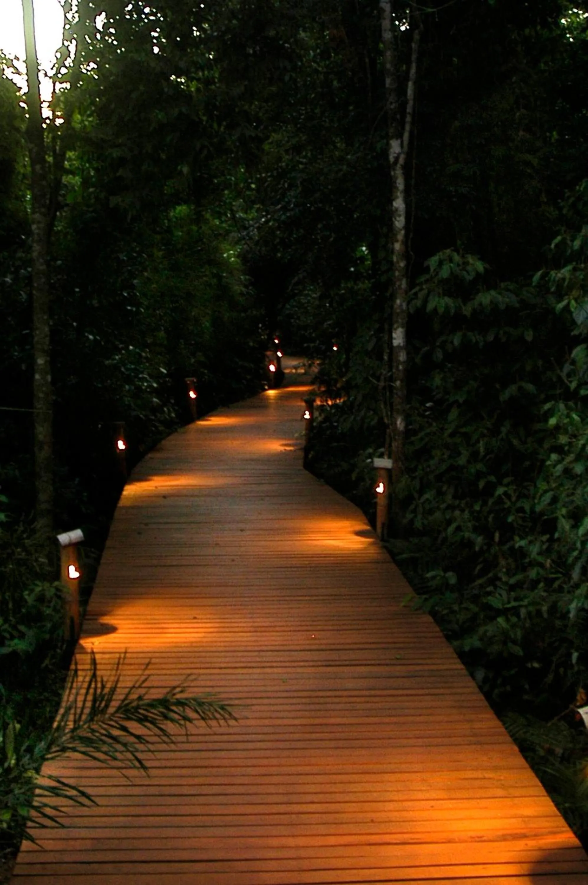 Other in La Aldea De La Selva Lodge