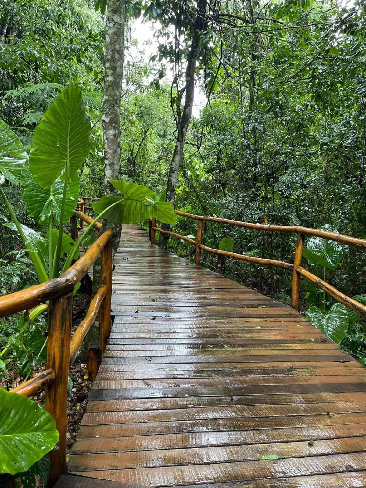 Spring in La Aldea De La Selva Lodge