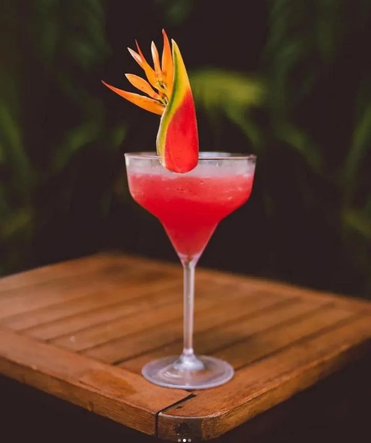 Drinks in La Aldea De La Selva Lodge