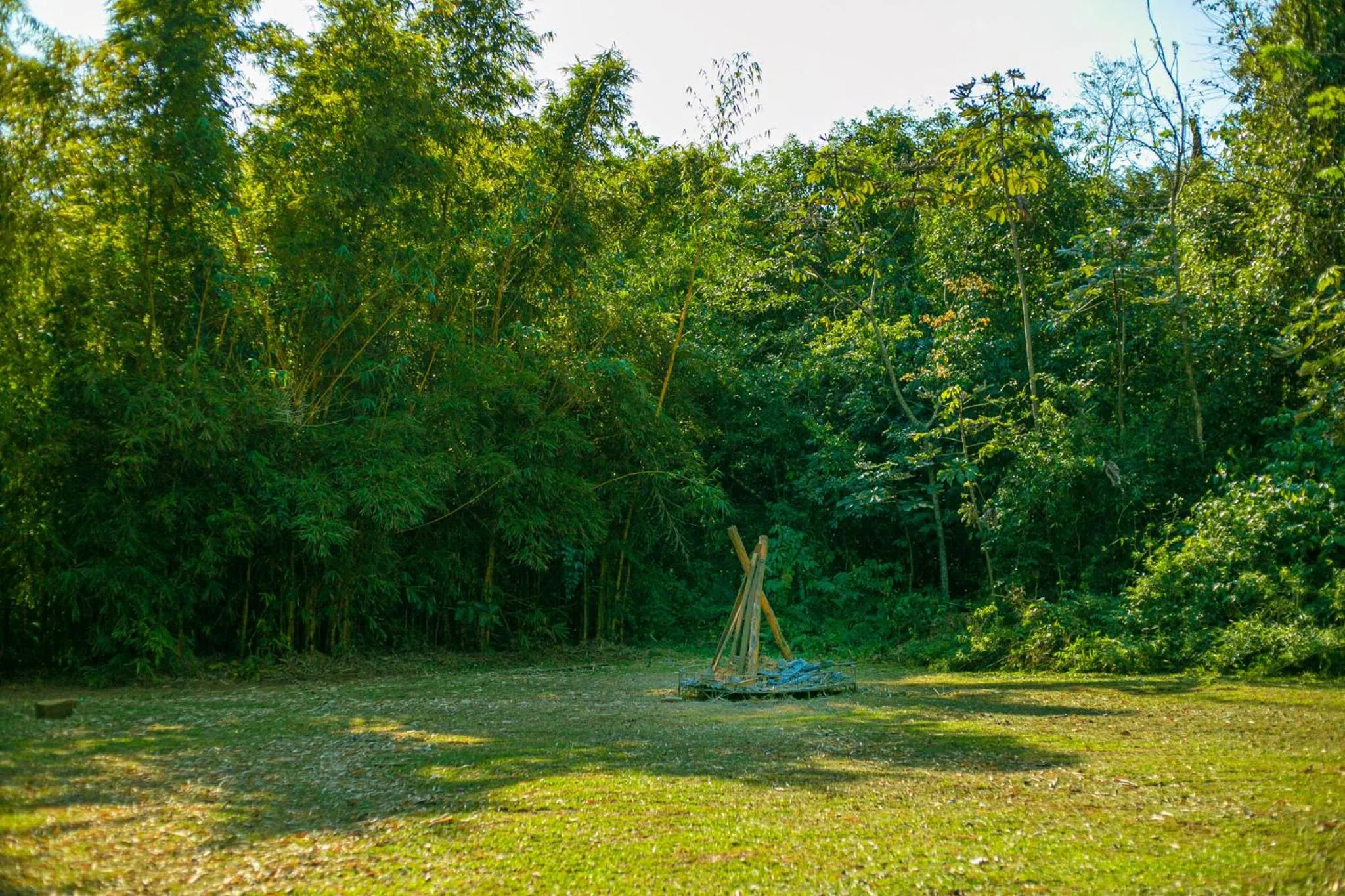 Natural landscape in La Aldea De La Selva Lodge