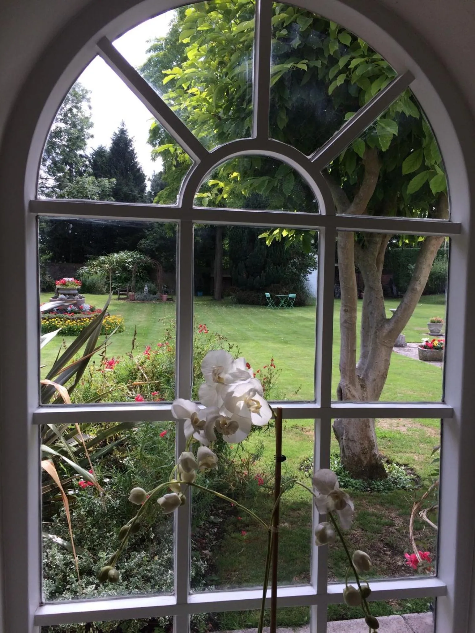 Garden view in Little Manor