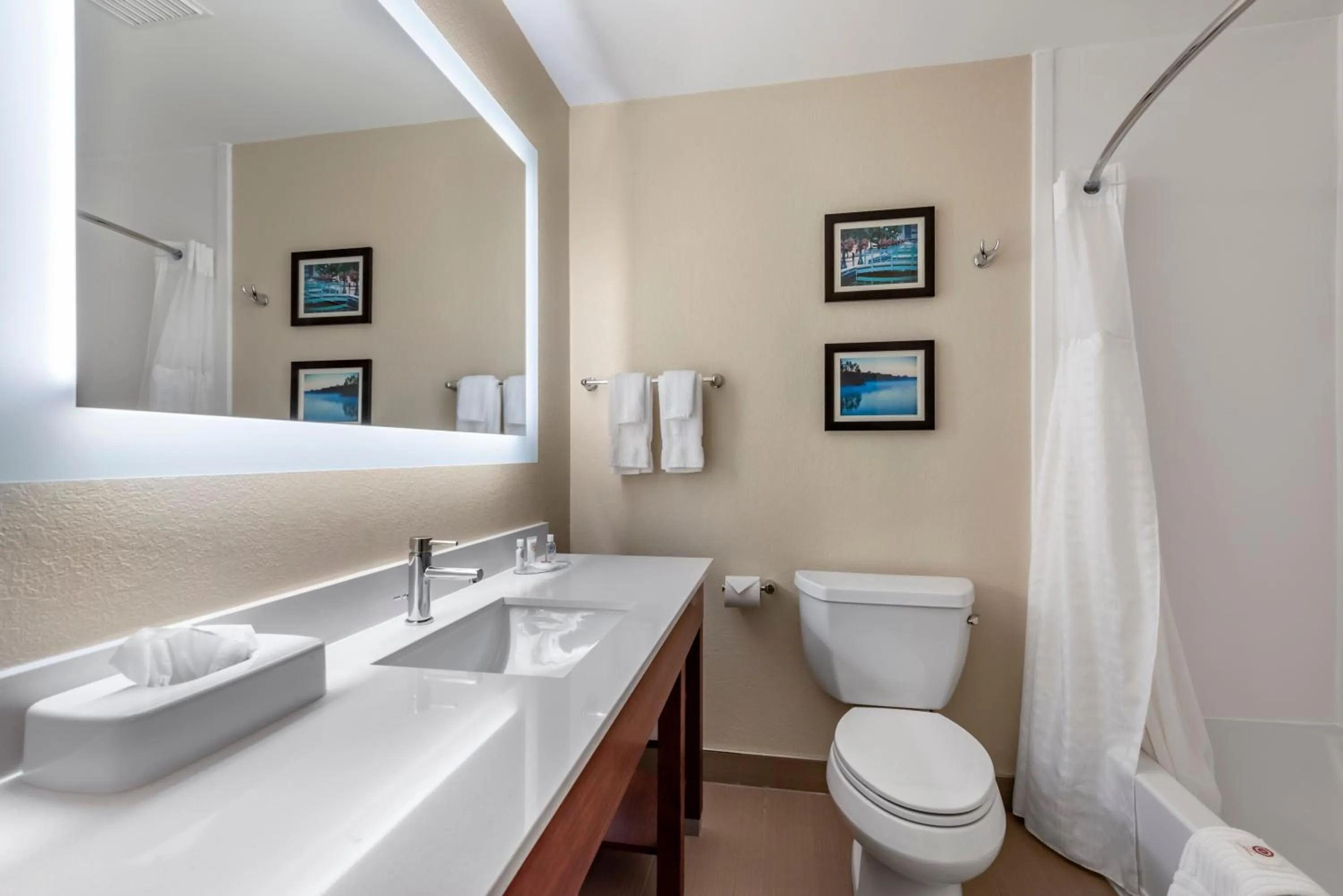 Bathroom in Comfort Inn & Suites Middletown - Franklin