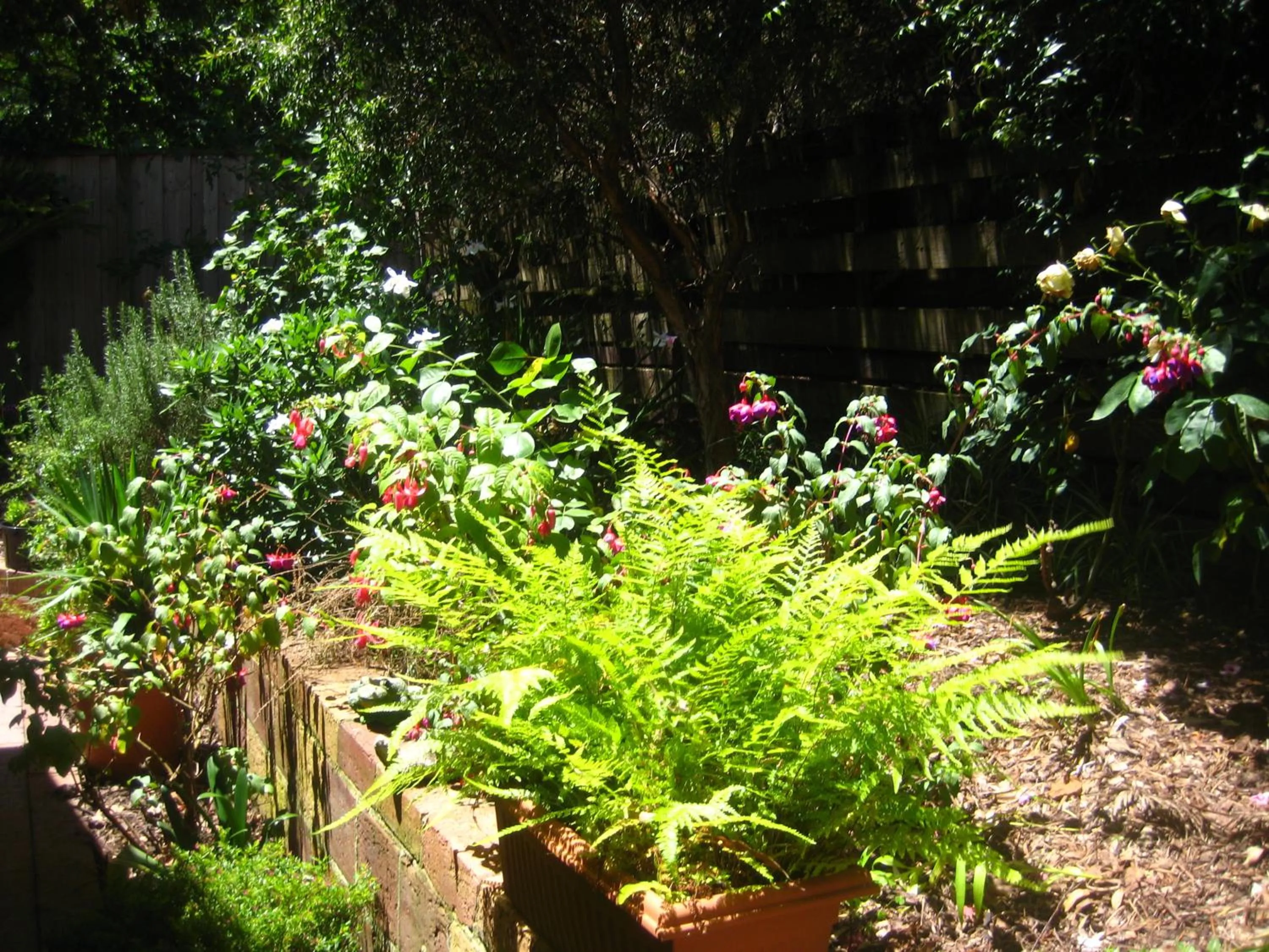 Patio in Bungunyah Apartments