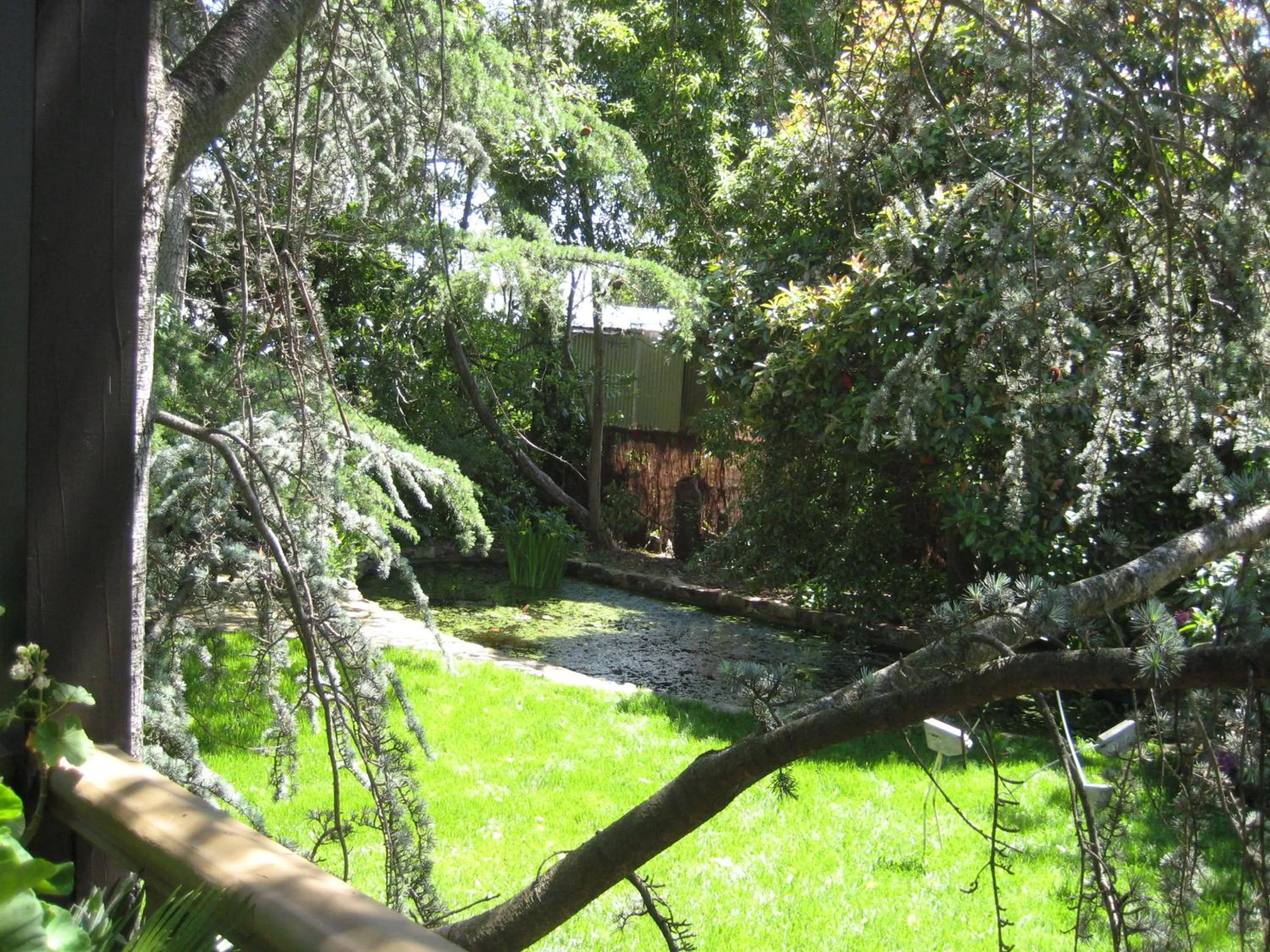 Area and facilities in Bungunyah Apartments