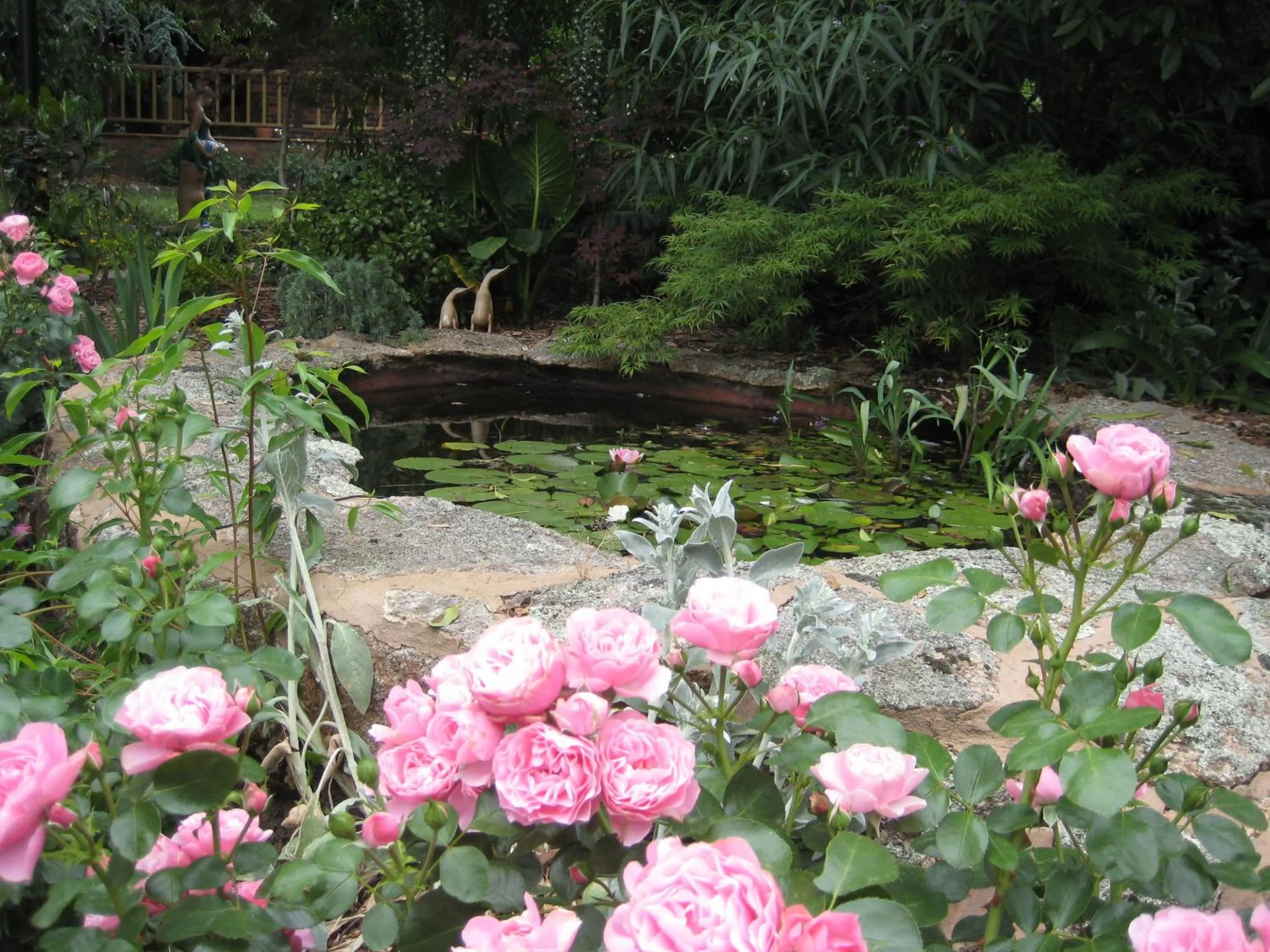 Garden in Bungunyah Apartments