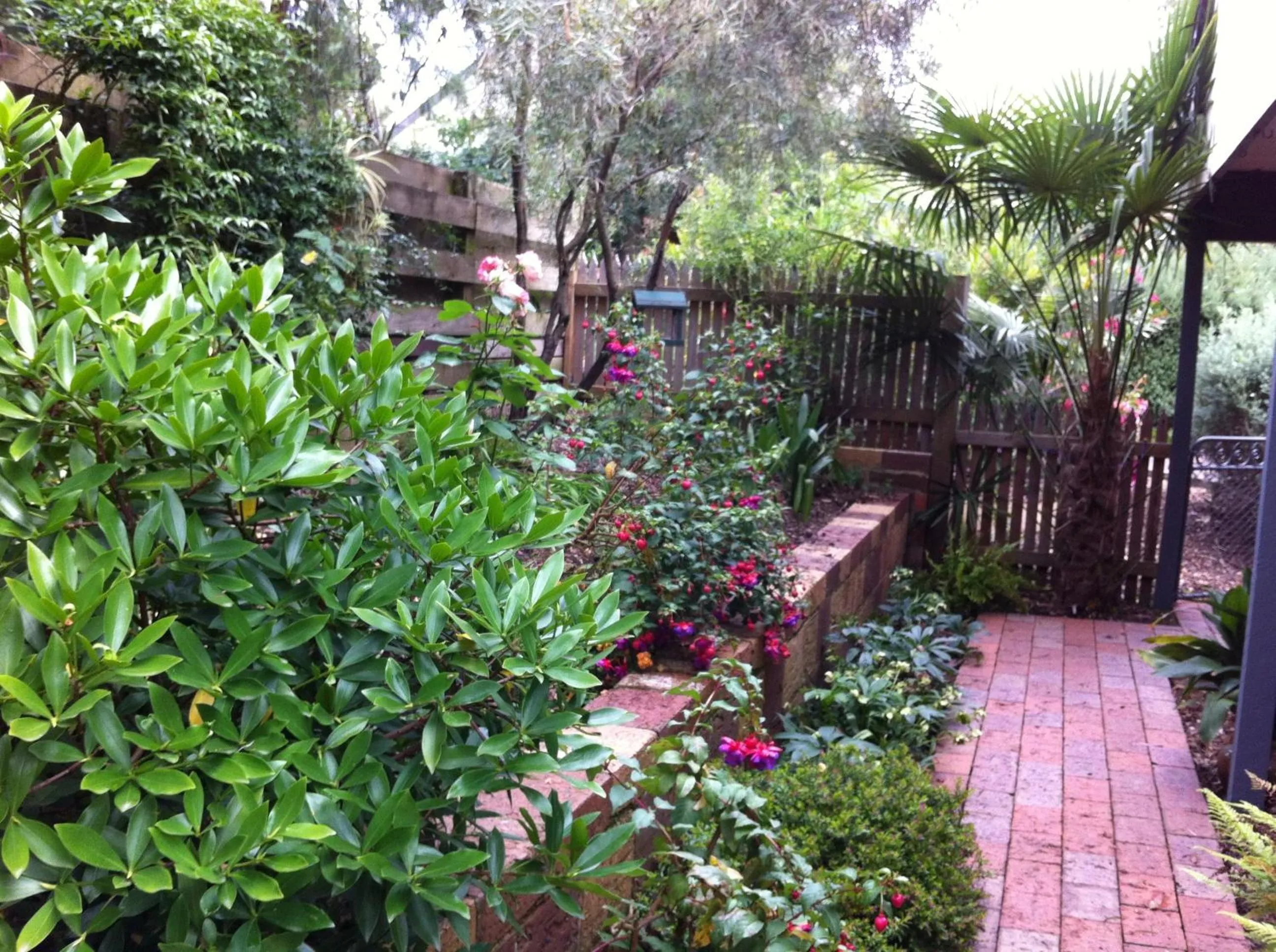 Garden in Bungunyah Apartments