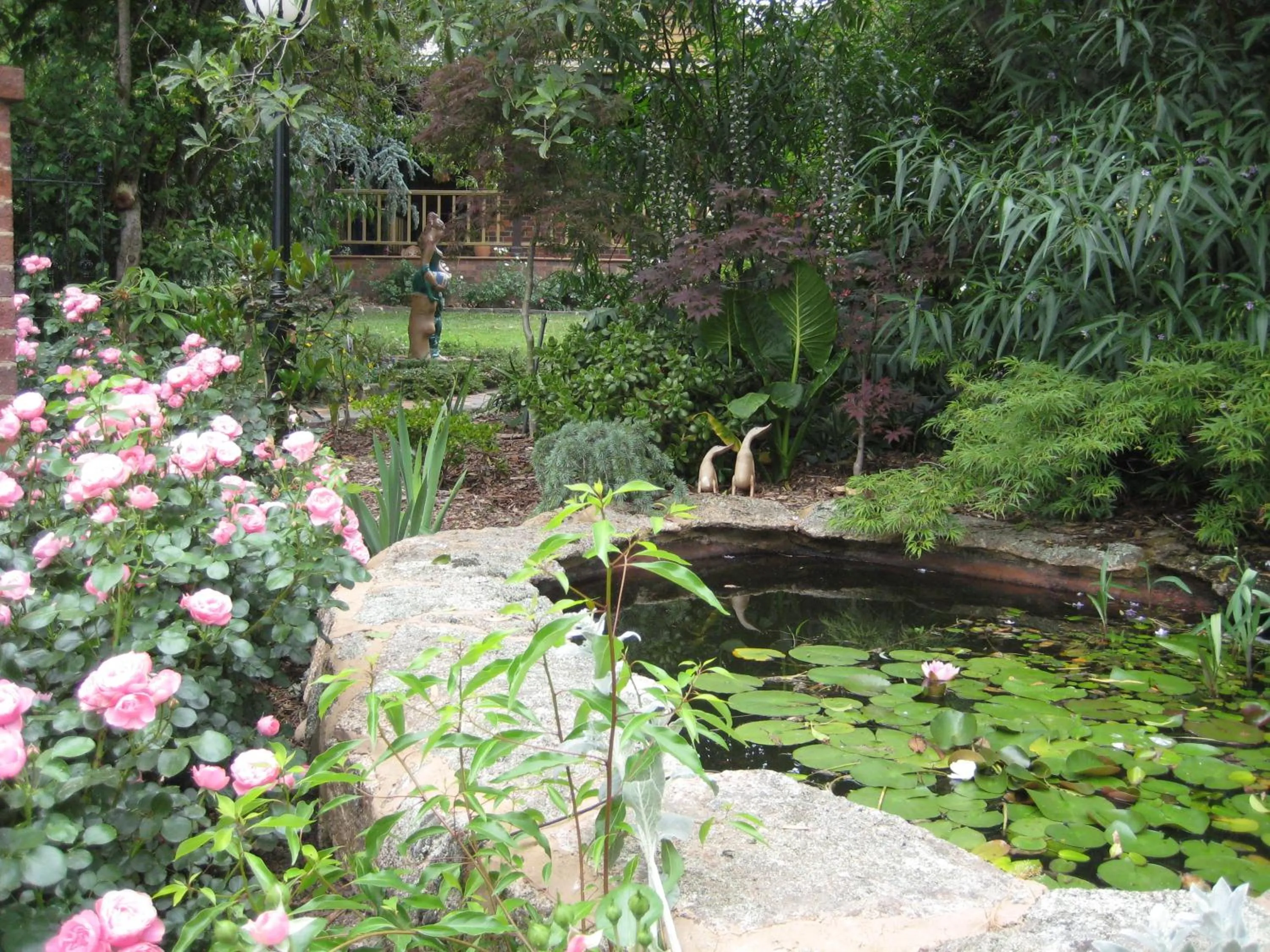 Garden in Bungunyah Apartments