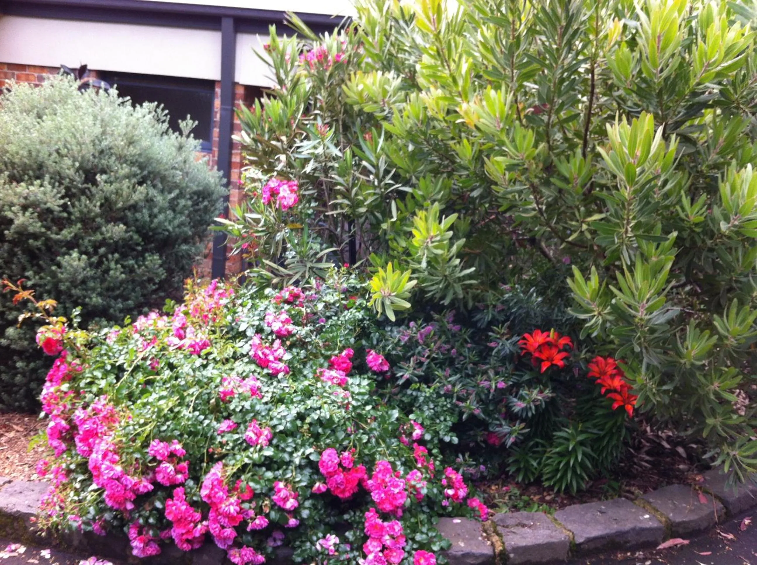 Garden in Bungunyah Apartments