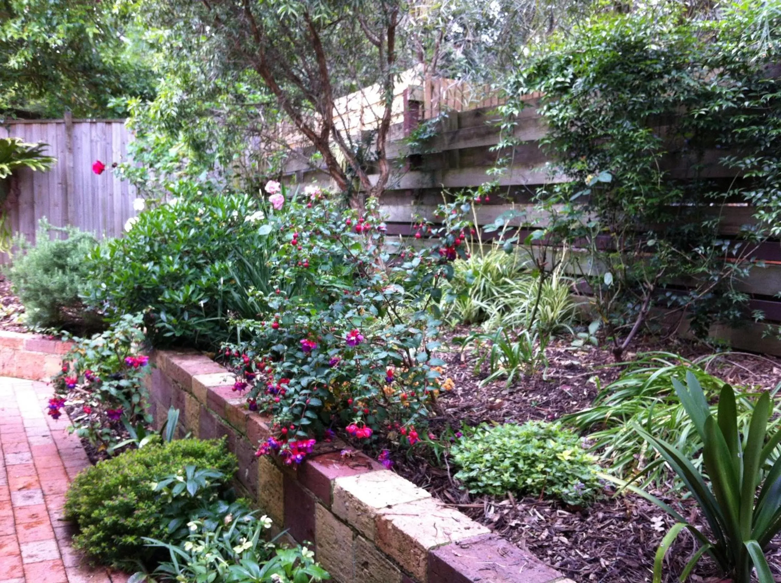 Garden in Bungunyah Apartments