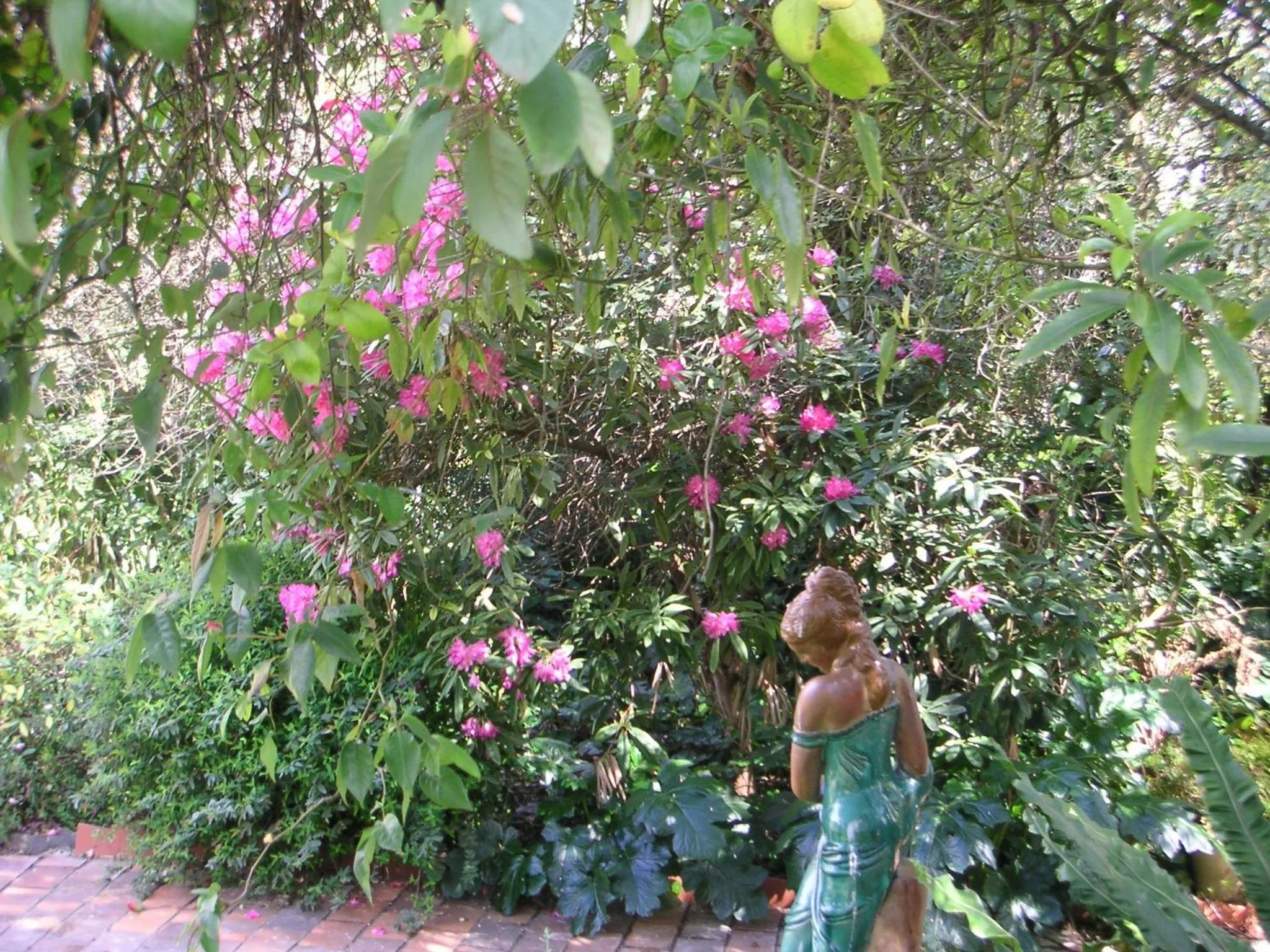 Garden in Bungunyah Apartments