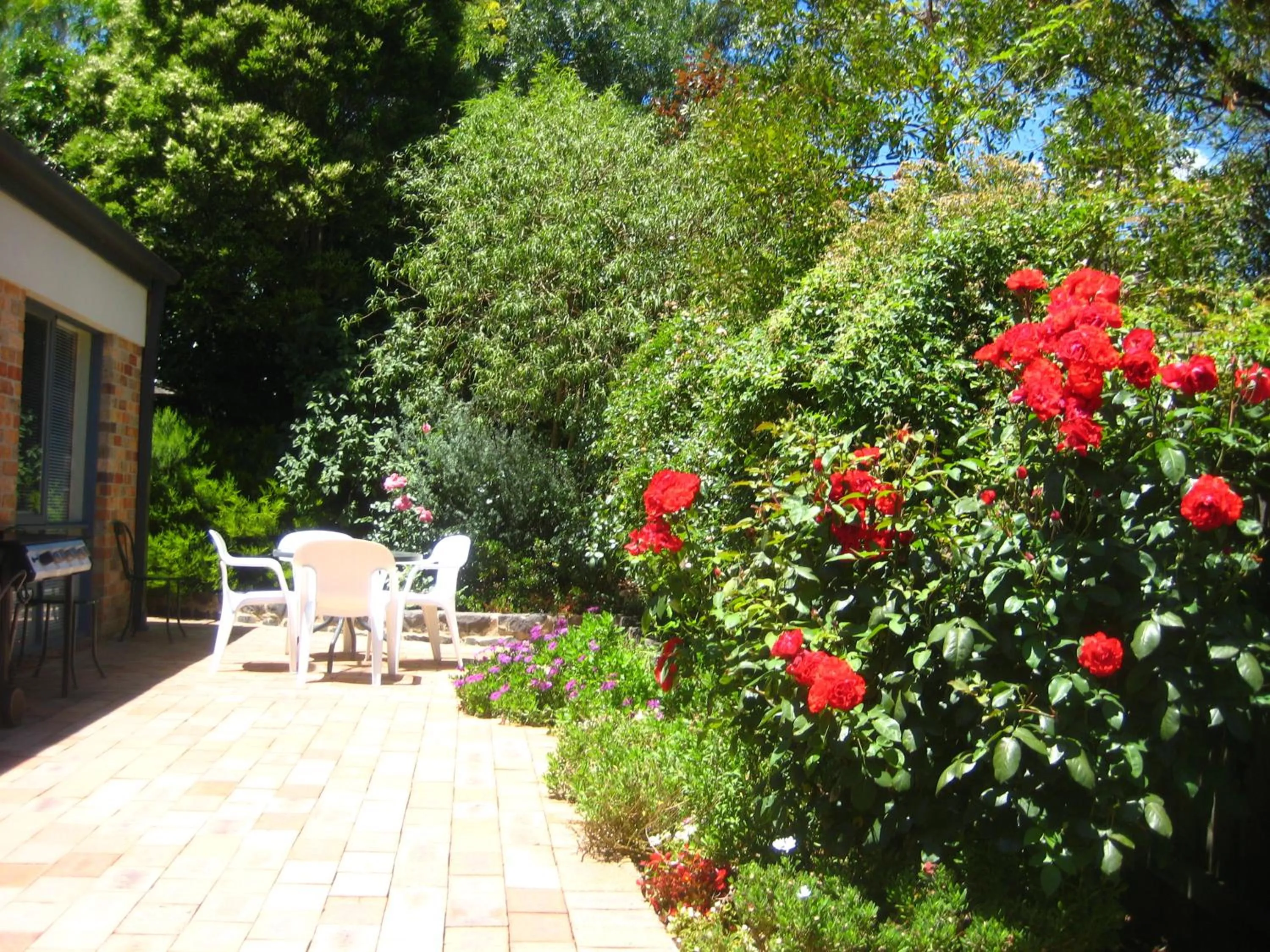 Patio in Bungunyah Apartments