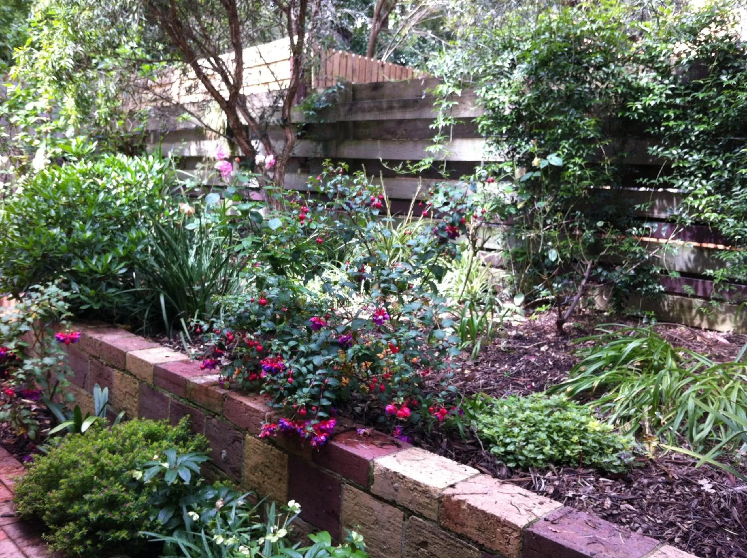 Garden in Bungunyah Apartments