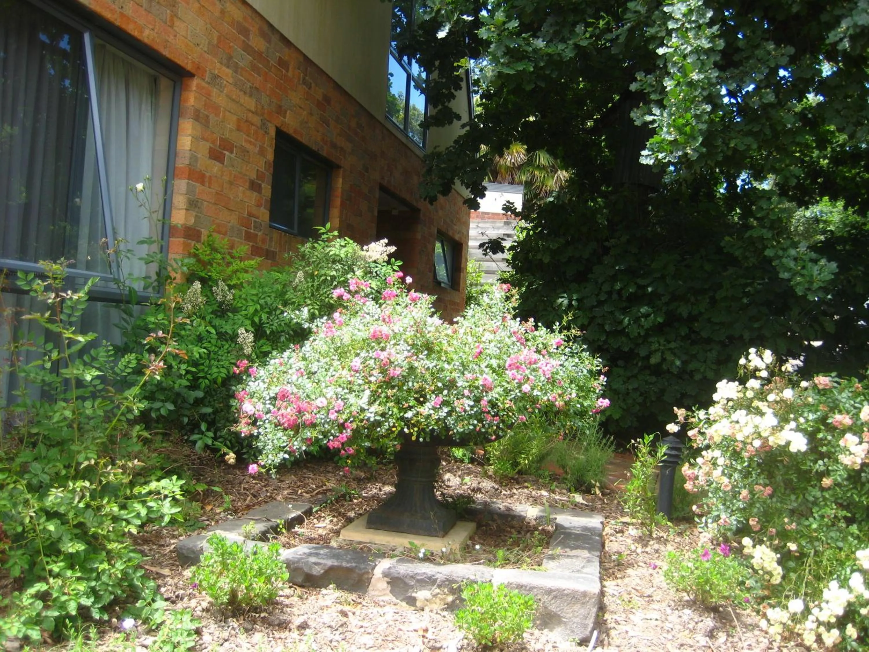 Garden in Bungunyah Apartments