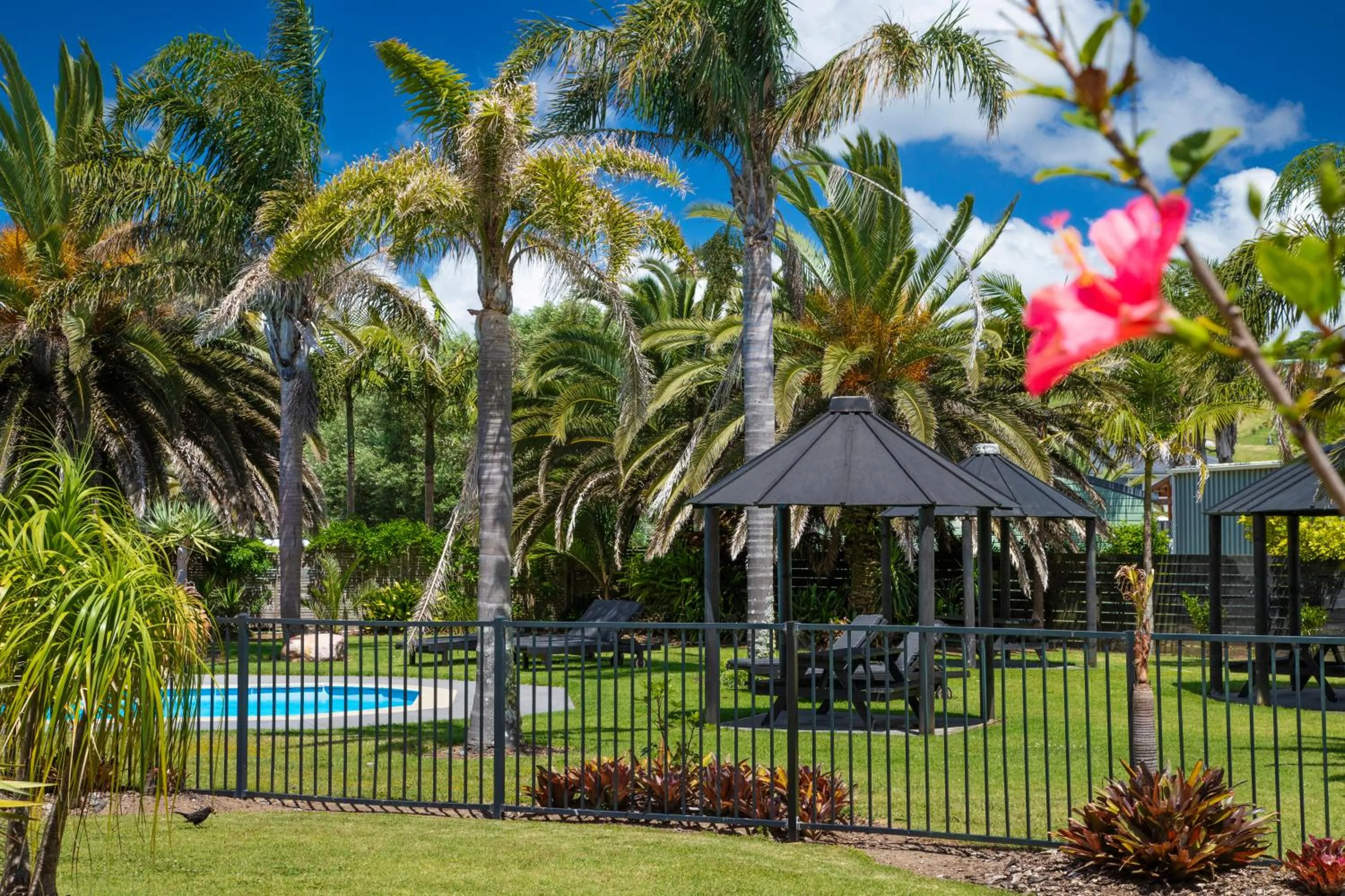 Swimming pool in Taipa Beach Resort