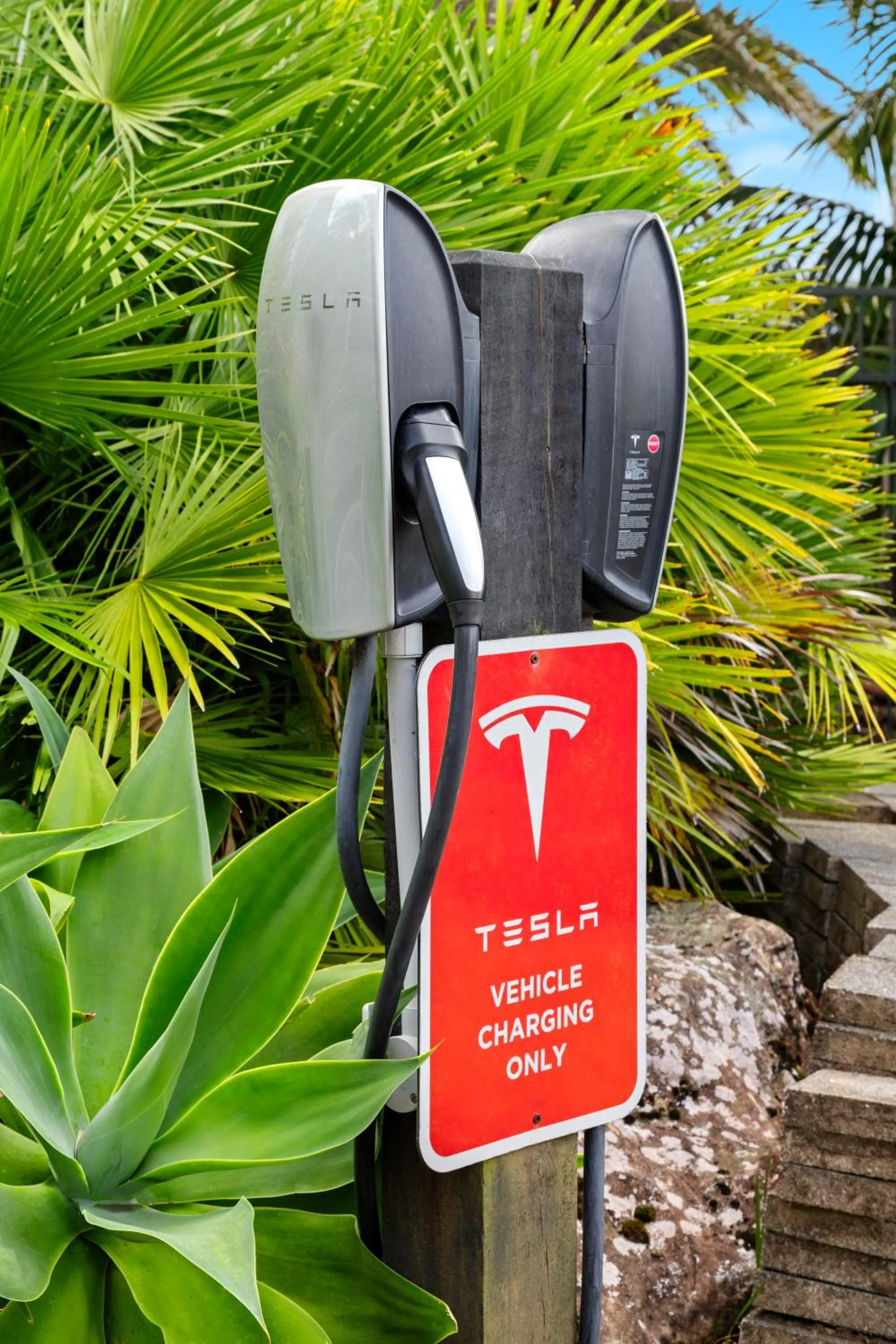 Area and facilities in Taipa Beach Resort