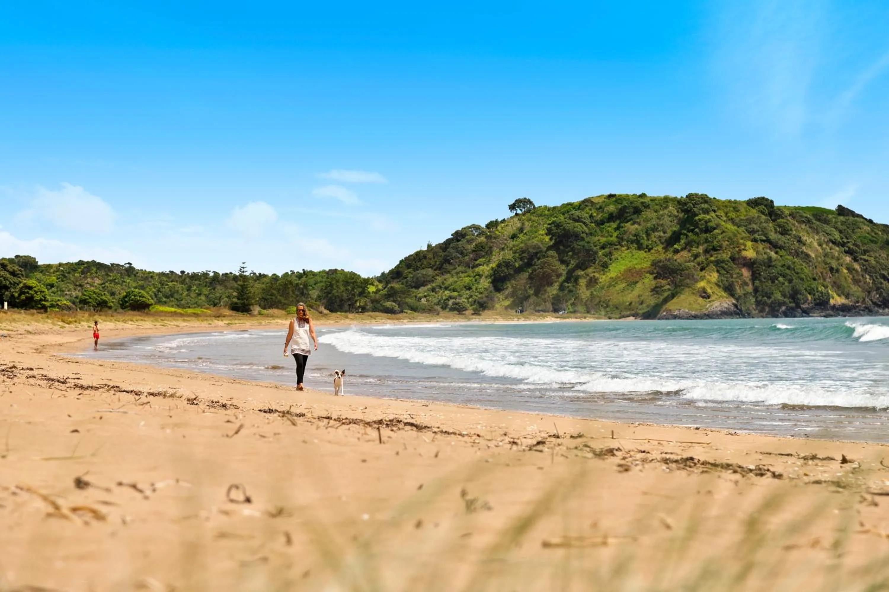 Beach in Taipa Beach Resort