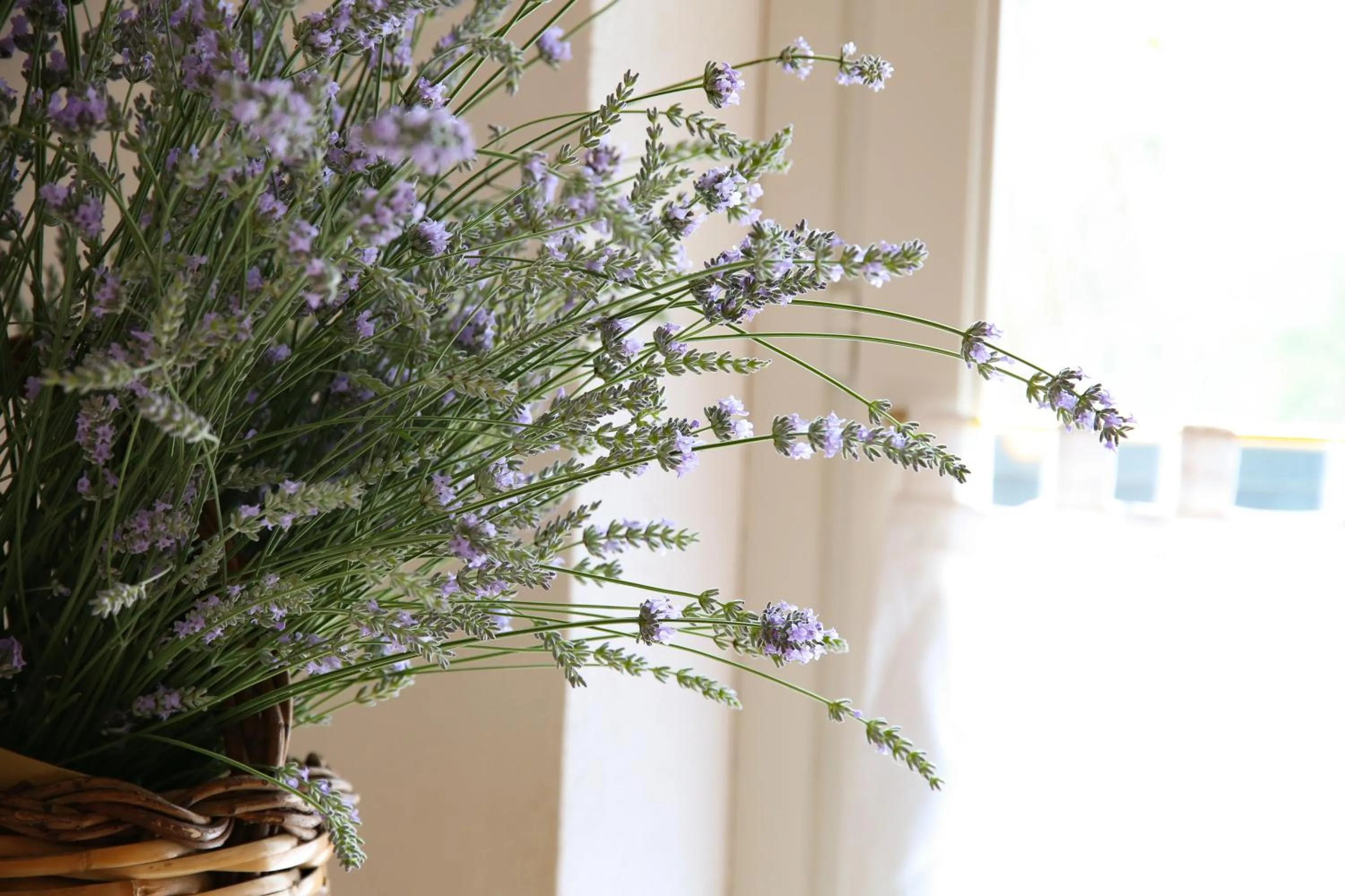 Decorative detail in Montebelli Agriturismo & Country Hotel