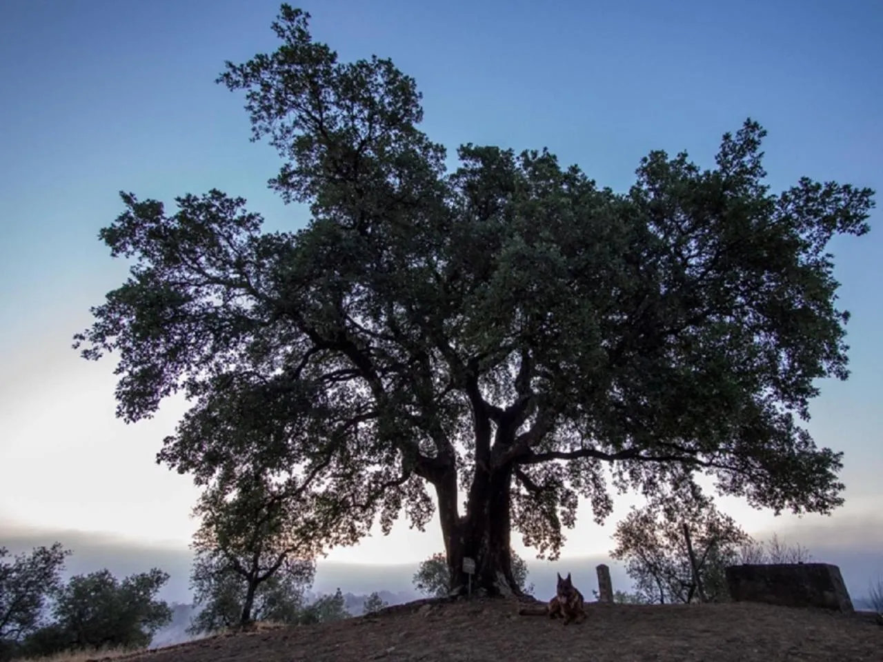 Nearby landmark in Montebelli Agriturismo & Country Hotel