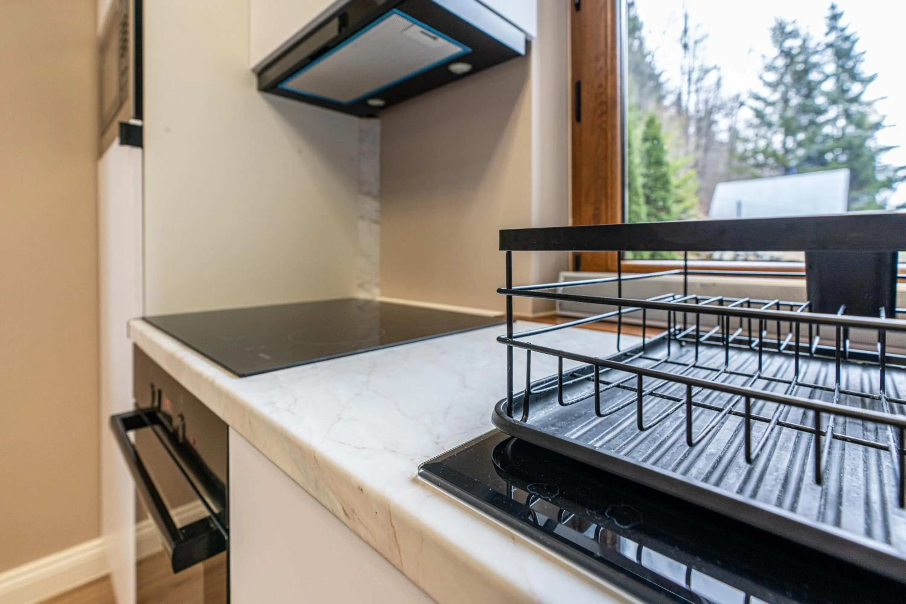 Kitchen or kitchenette in Leśny Dworek Biały Dunajec