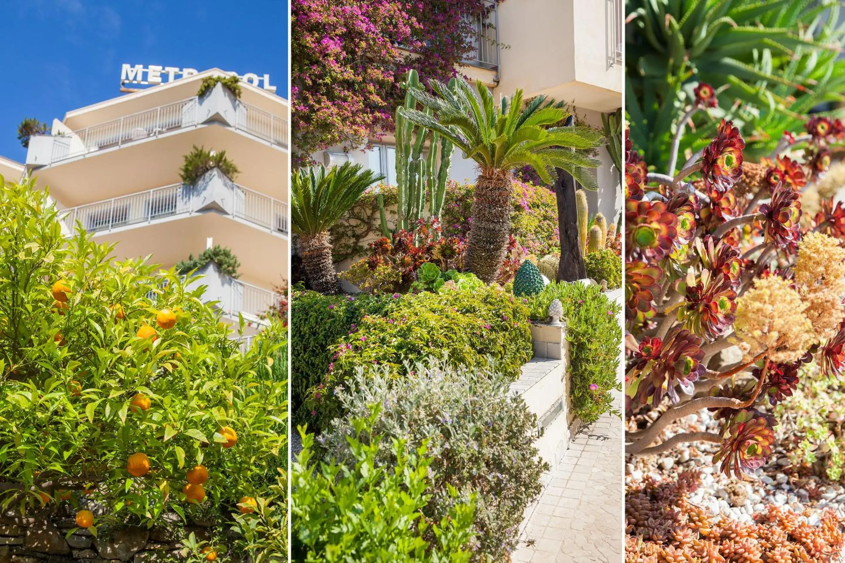 Facade/entrance in Hotel Metropol Facade/entrance in Hotel Metropol