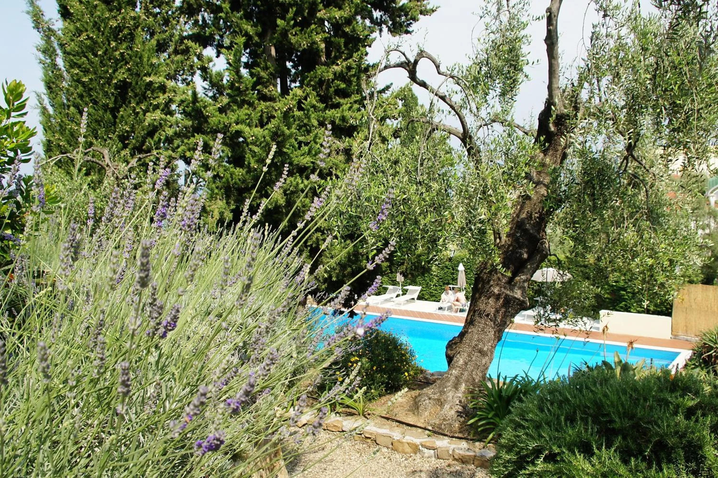 Swimming pool in Hotel Metropol