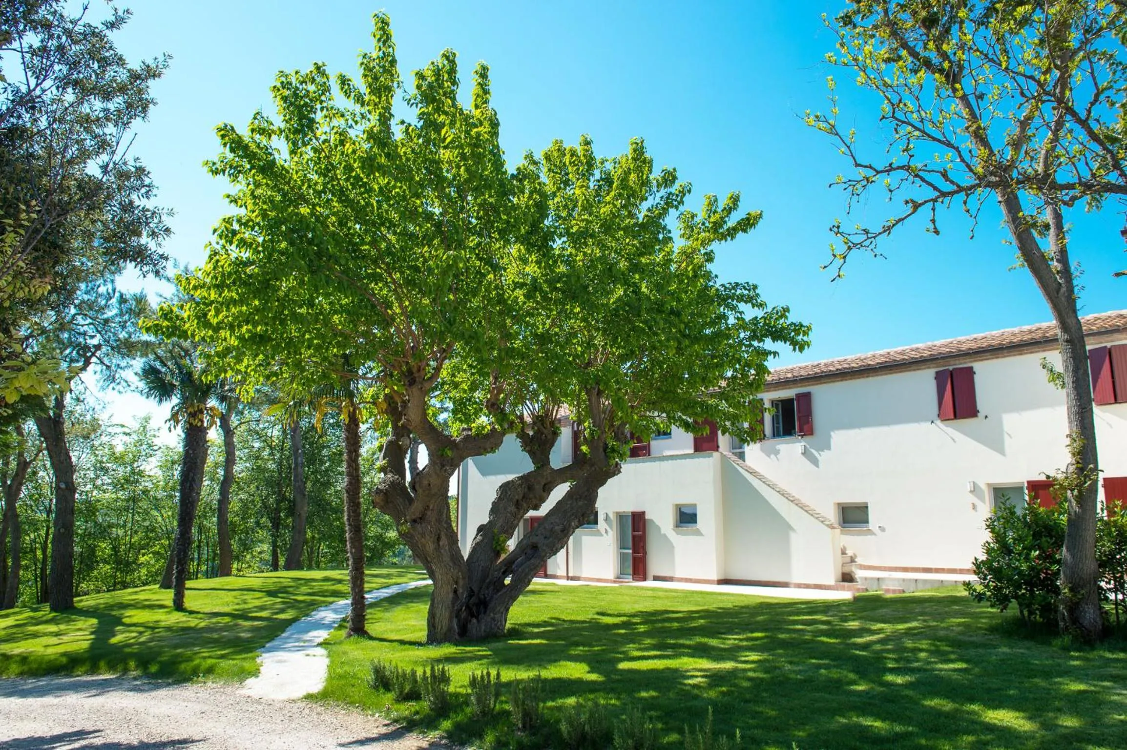 Property building in Agromarino