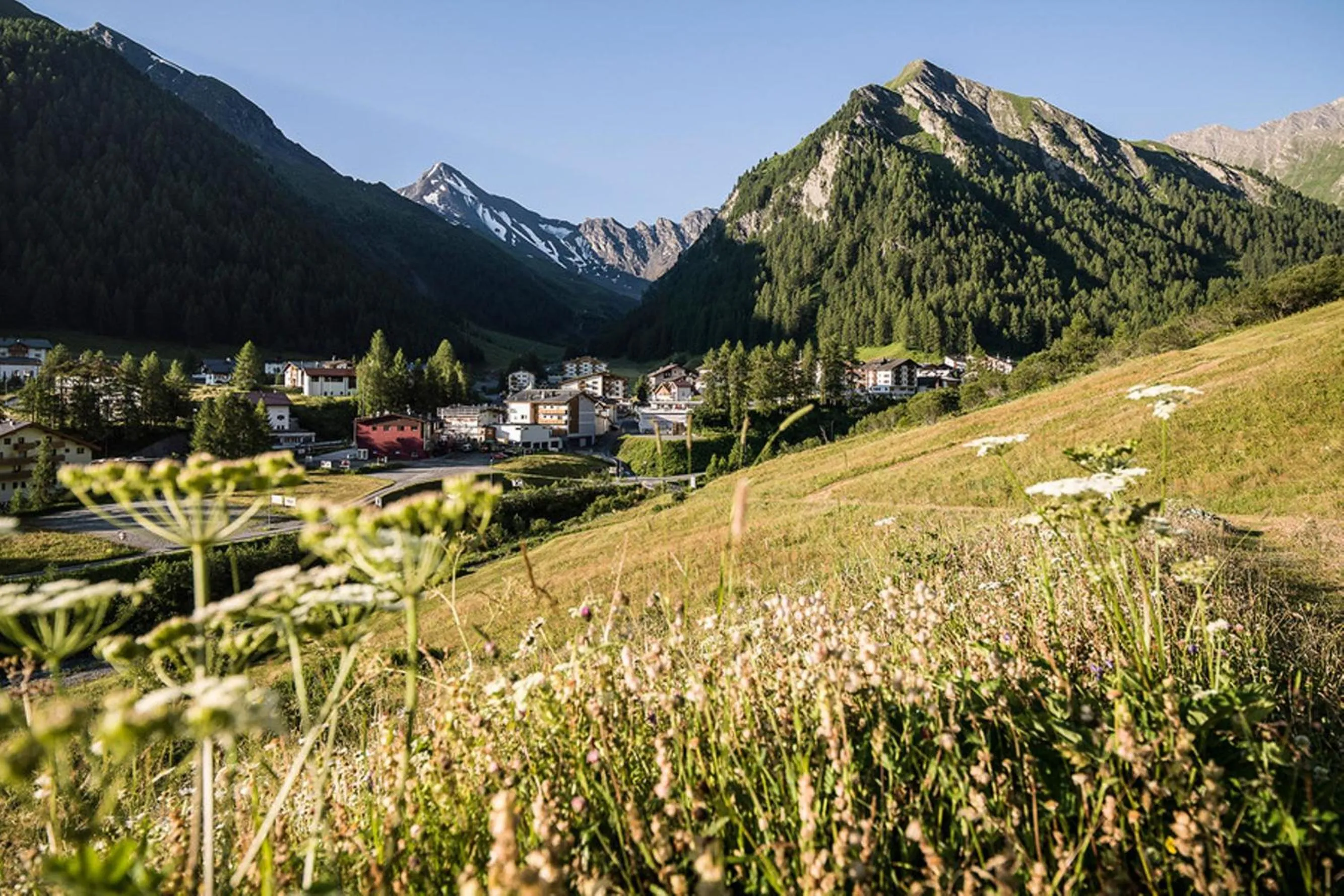Natural landscape in Hotel des Alpes