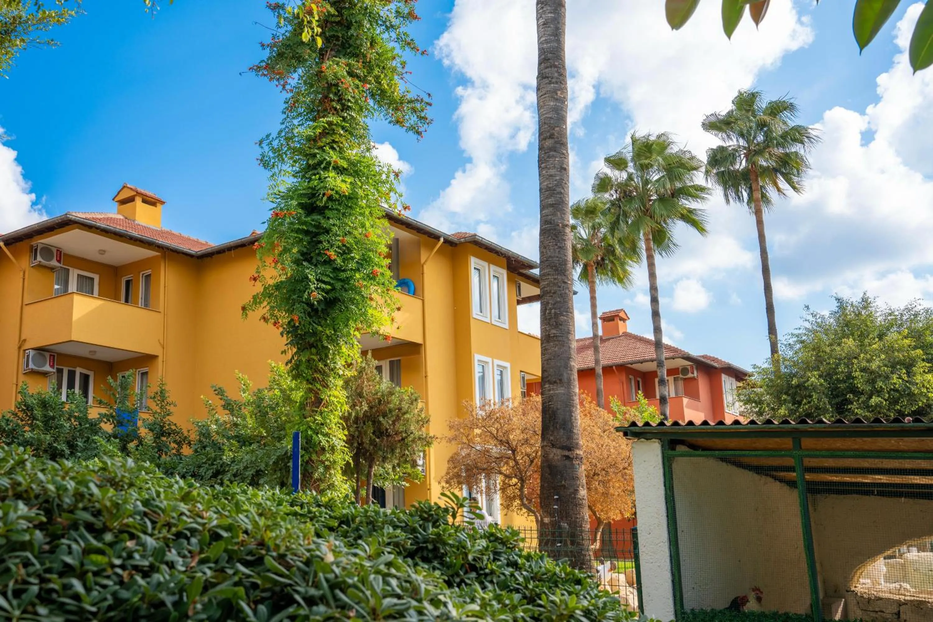 Property building in Armas Green Fugla Beach