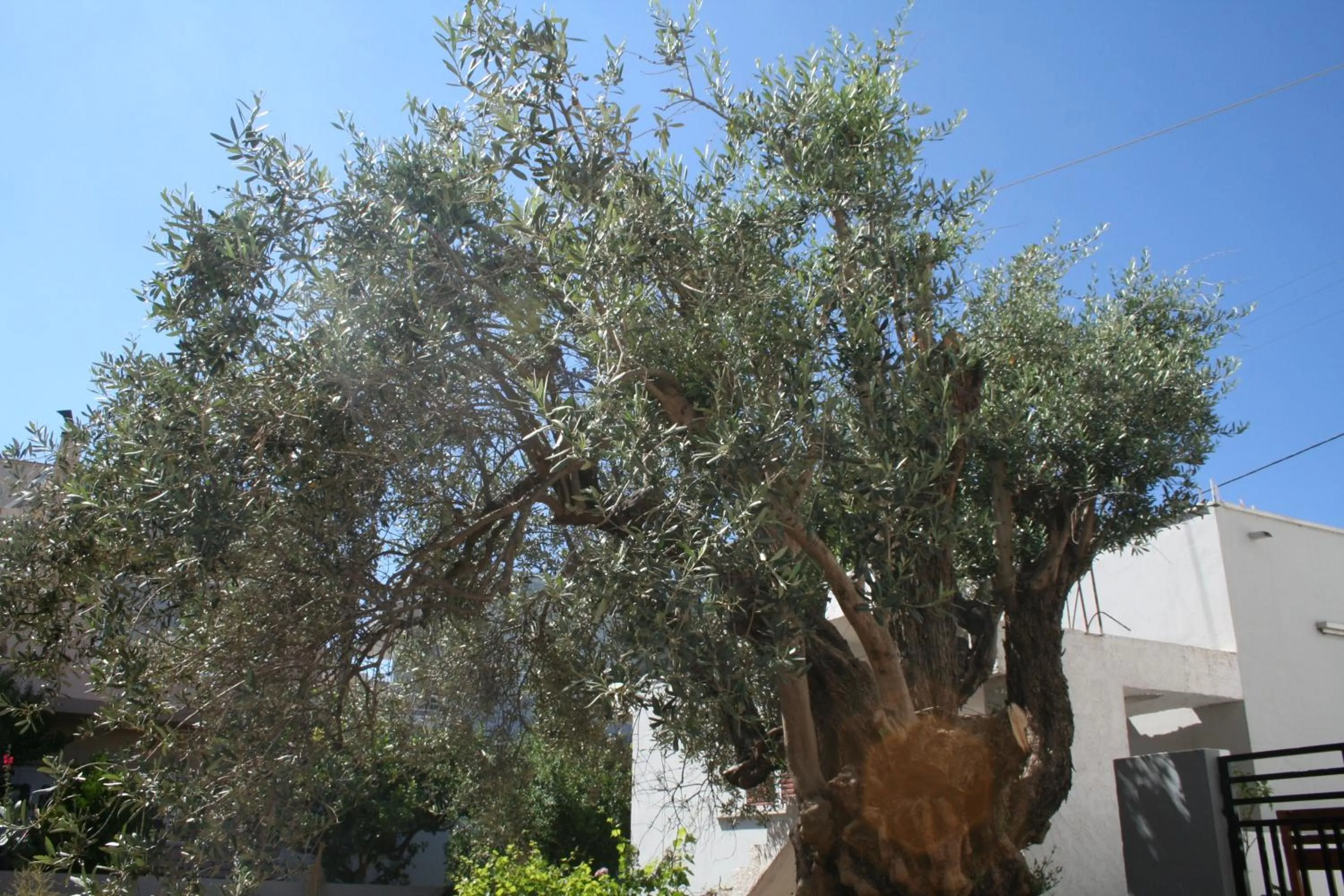 Nearby landmark in Pantheon Deluxe Apartments