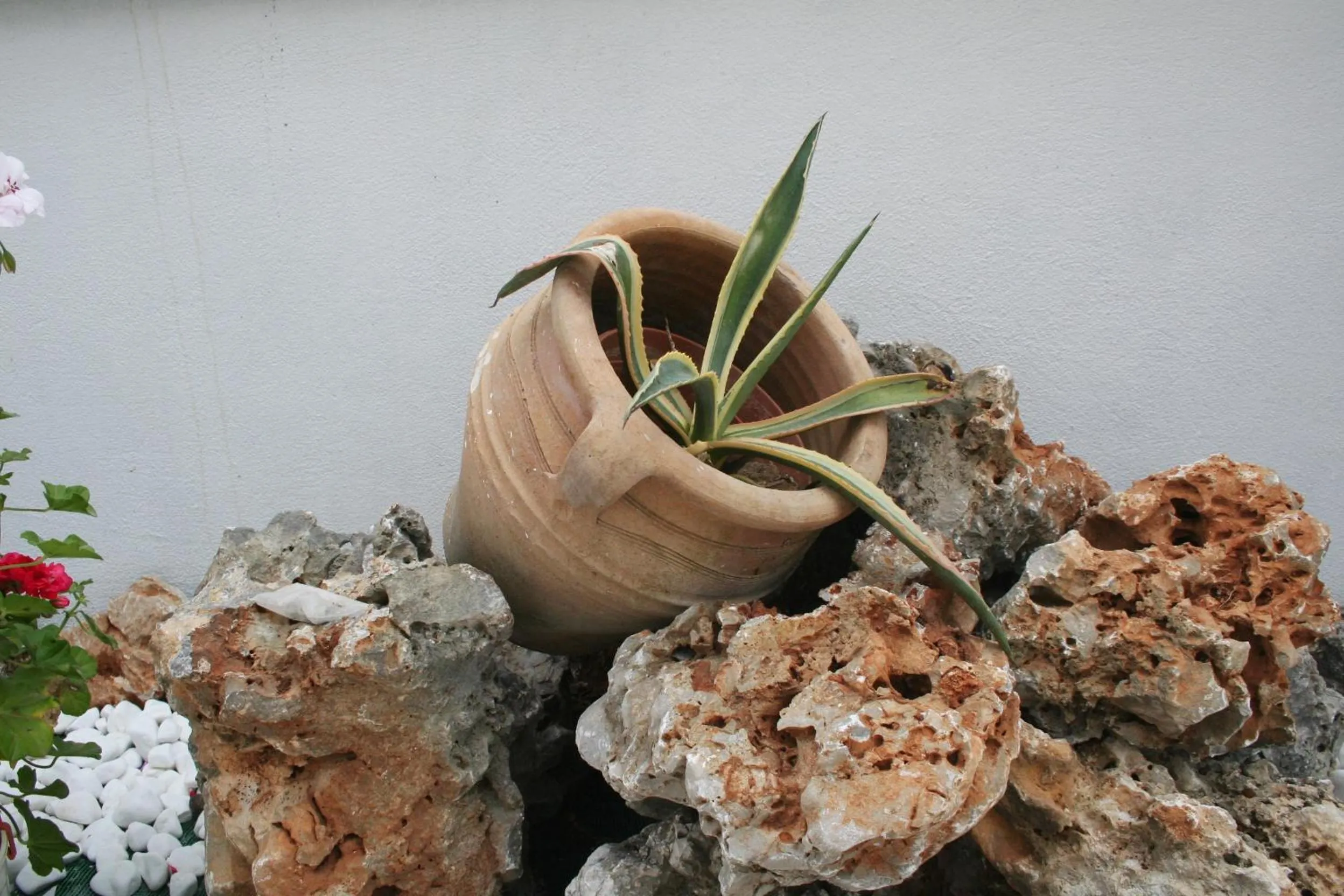 Property building in Pantheon Deluxe Apartments