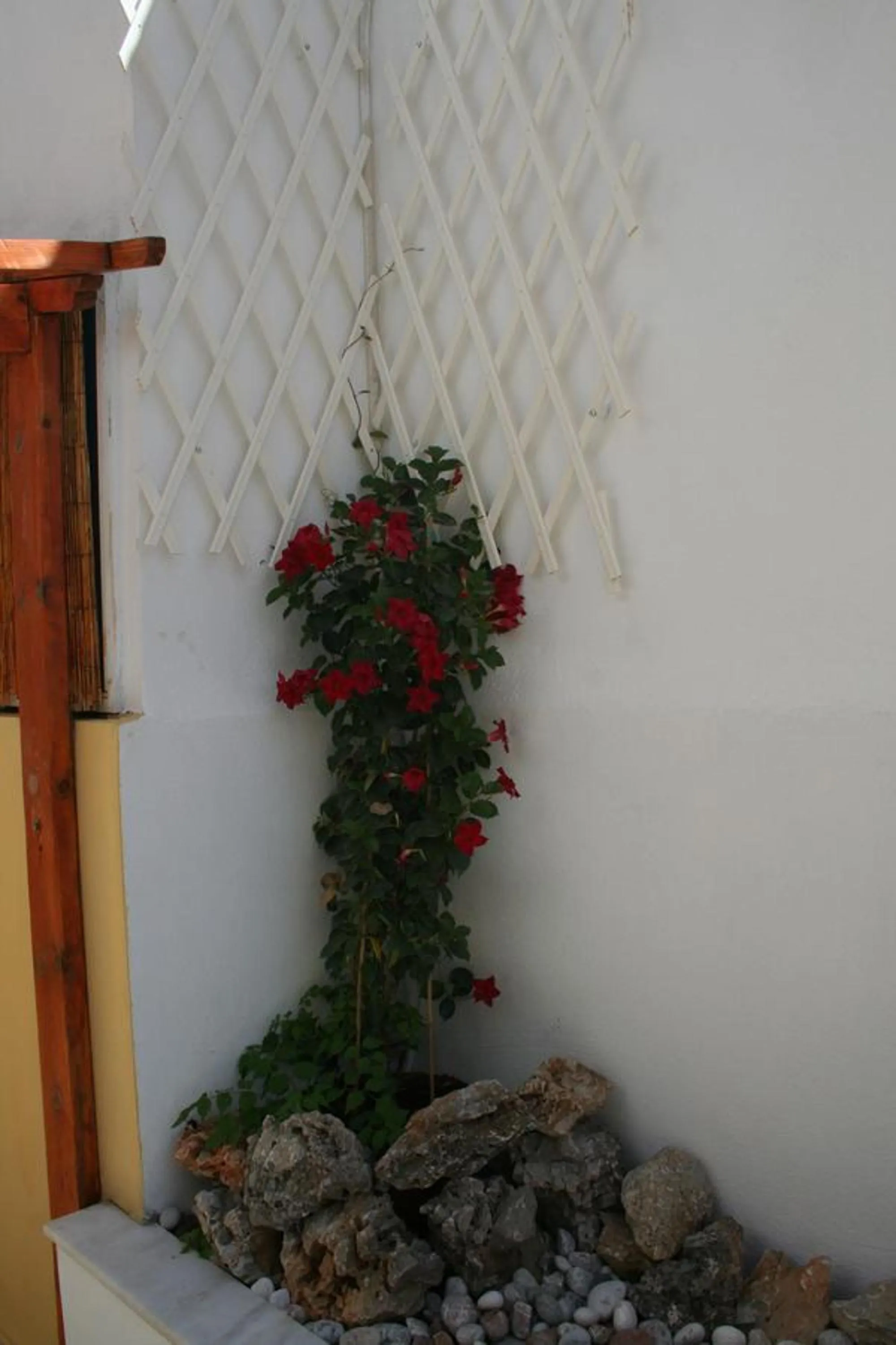 Decorative detail in Pantheon Deluxe Apartments