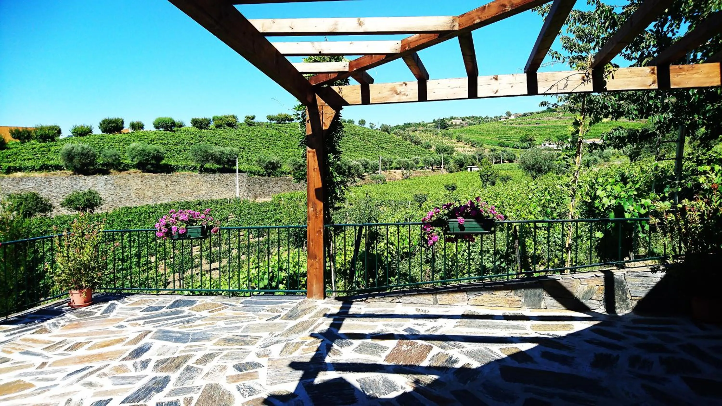 Douro Valley - Casa Vale do Douro