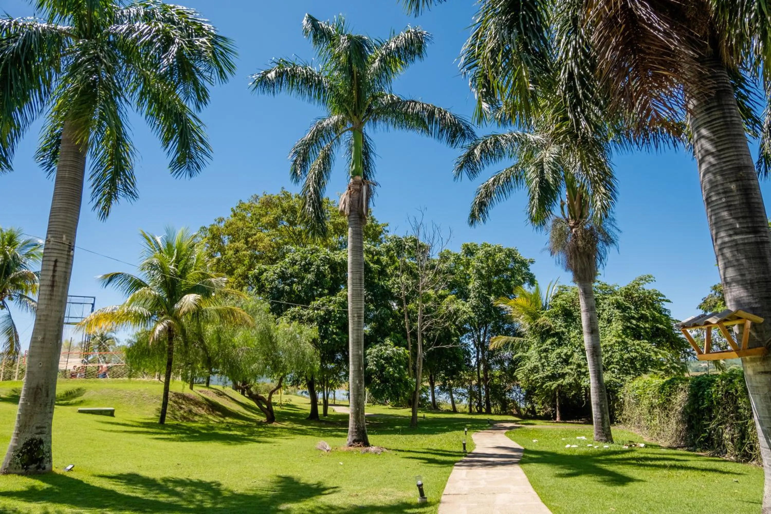 Spring in Marina Flat - OFICIAL