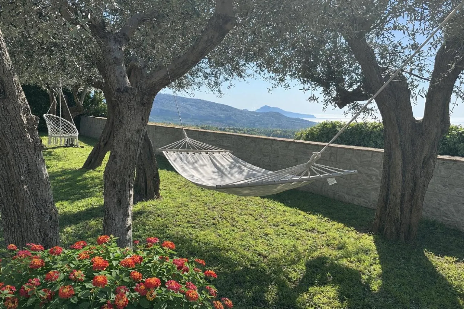Garden in Villa Raf