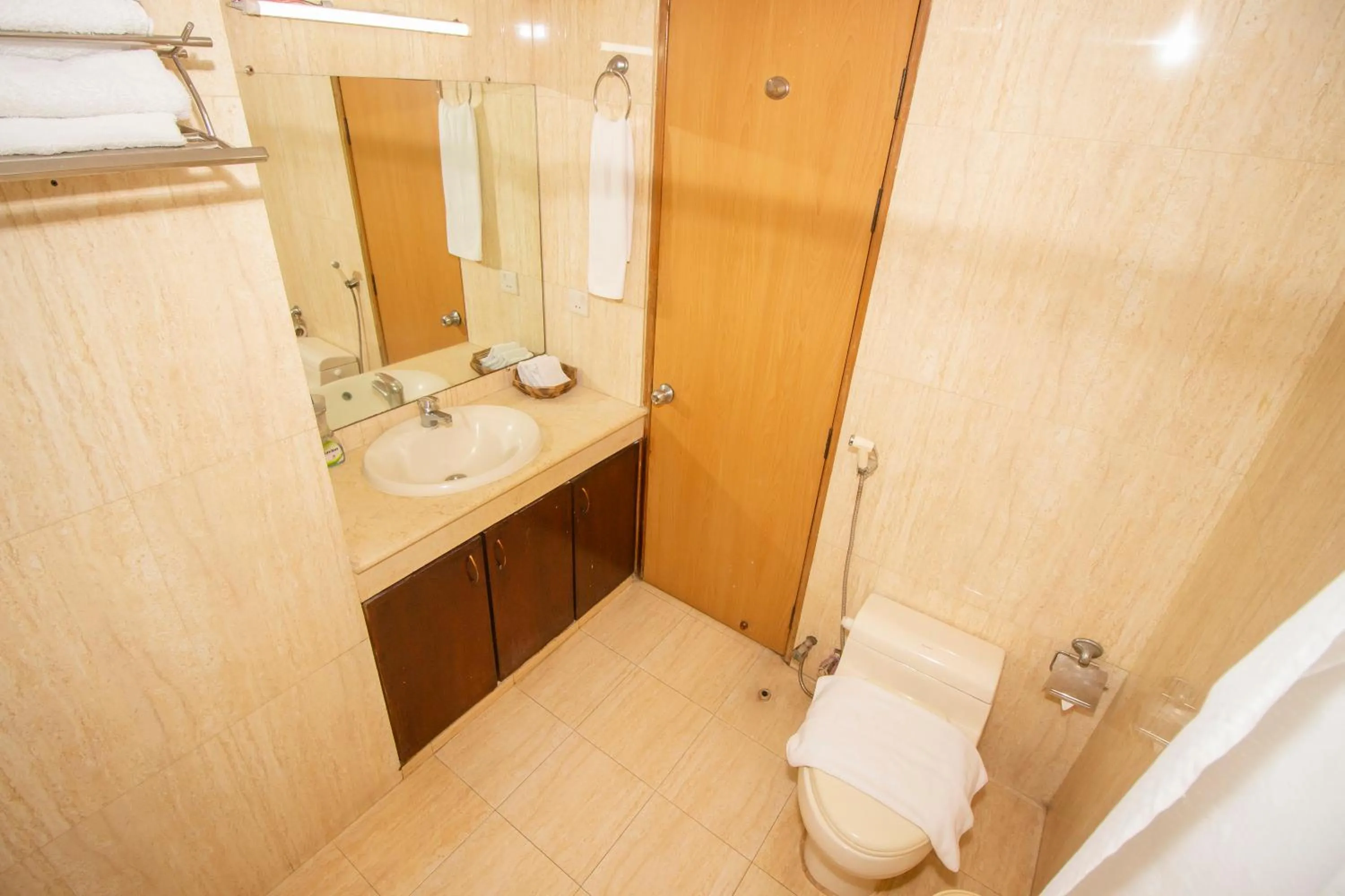 Shower in Rafflesia Serviced Apartments