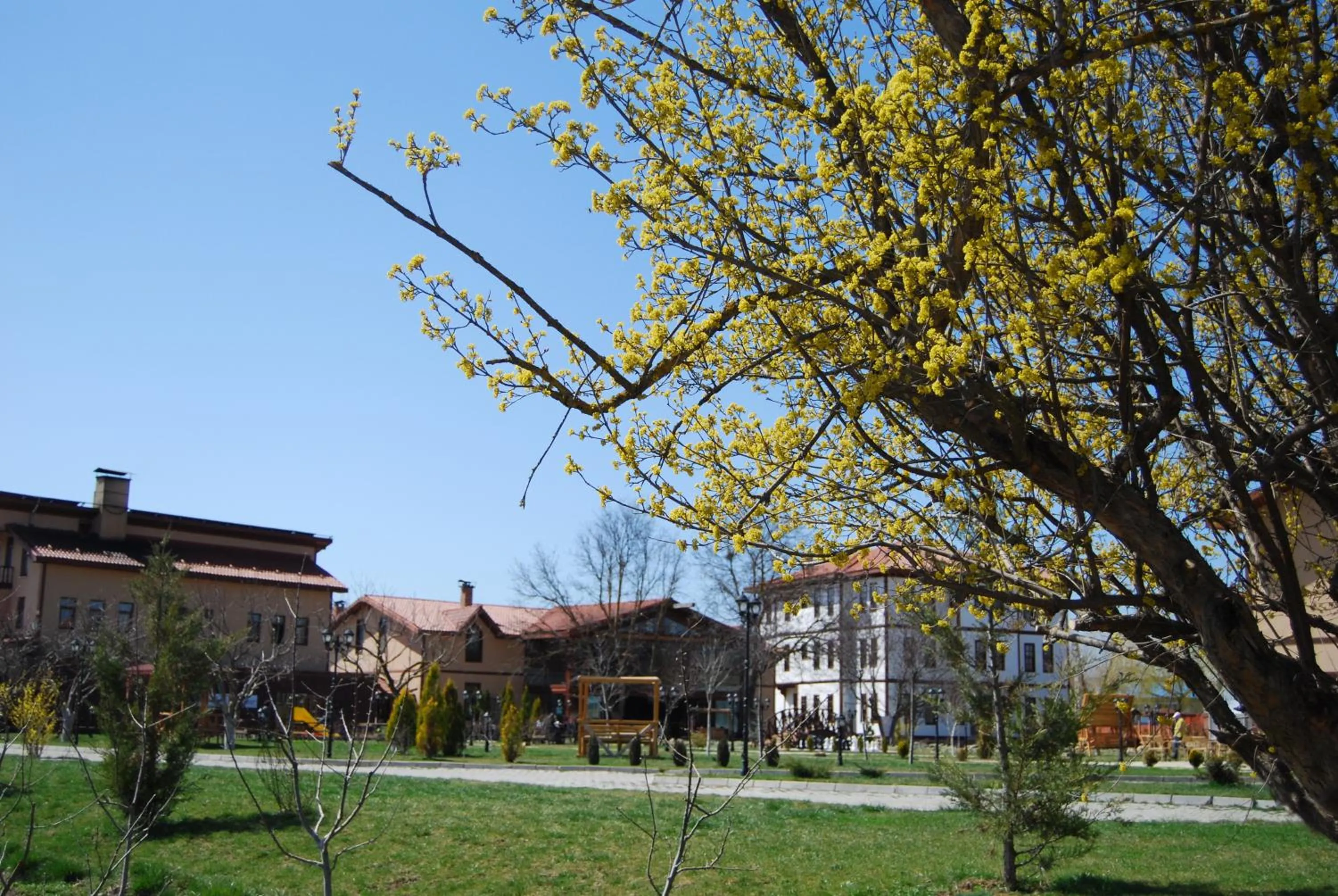 Garden view in Iksir Resort Town