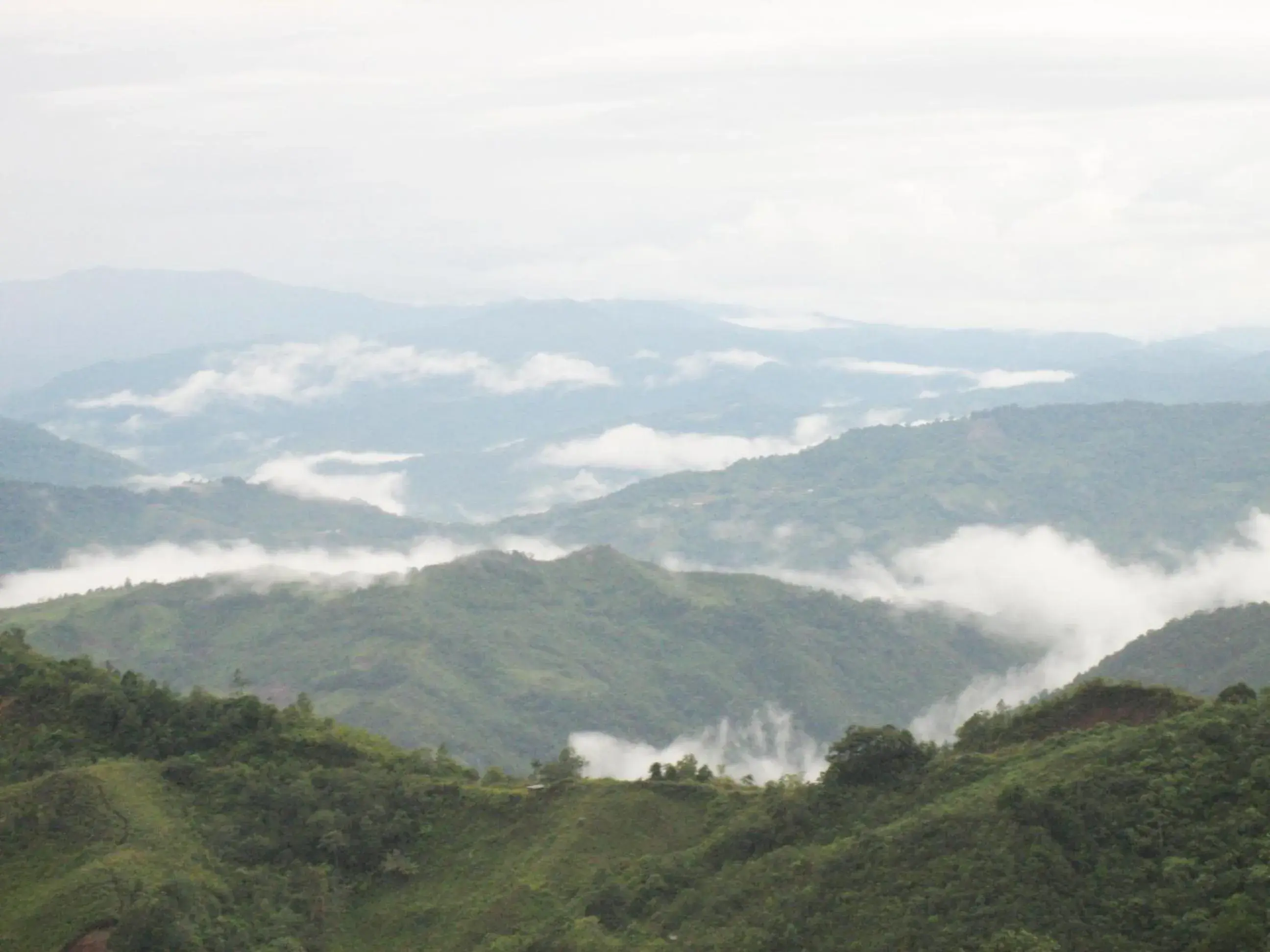 Mountain view in Celyn Resort Kinabalu Mountain view in Celyn Resort Kinabalu