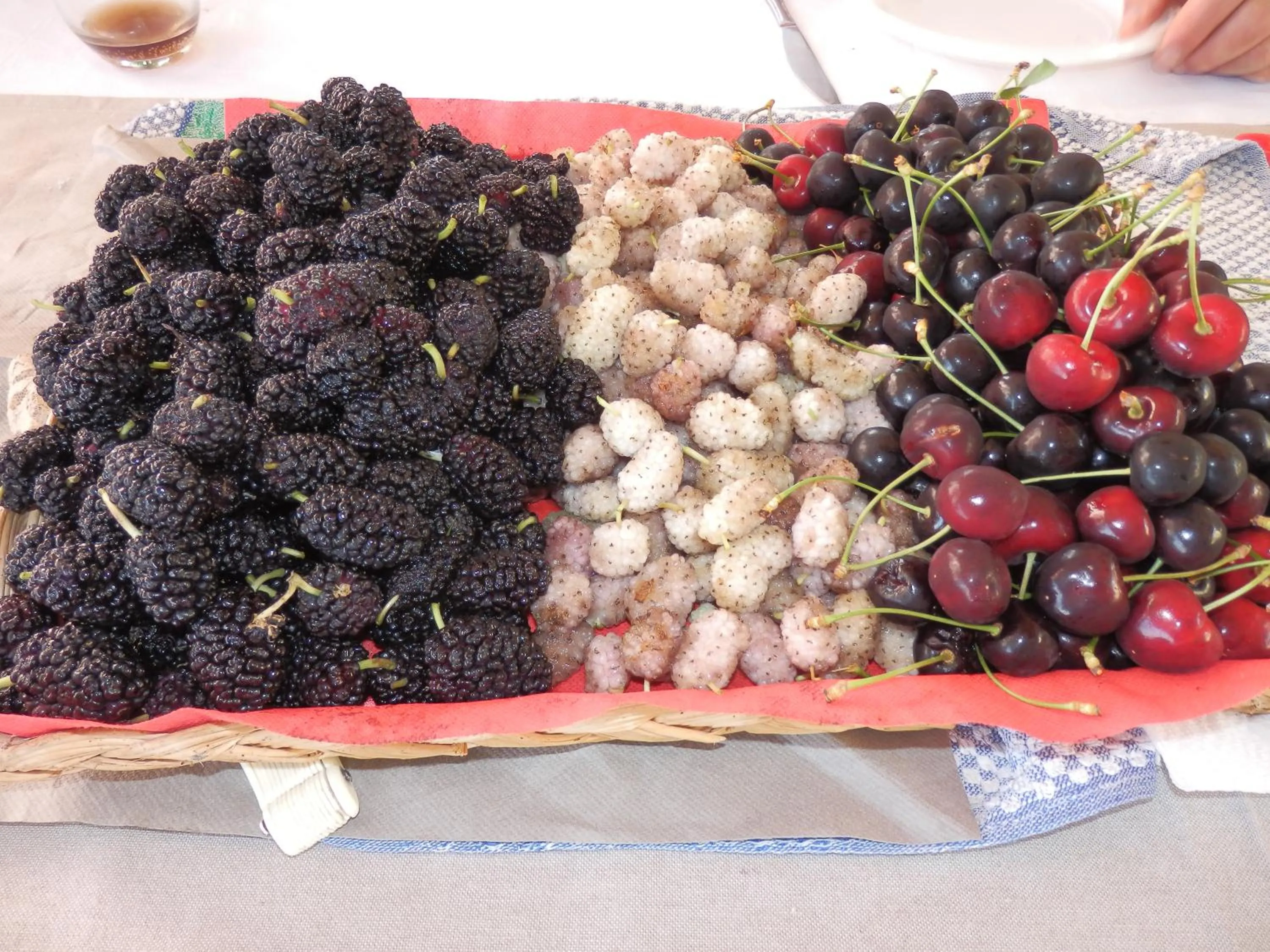 Food and drinks in Giardino 21 Marzo