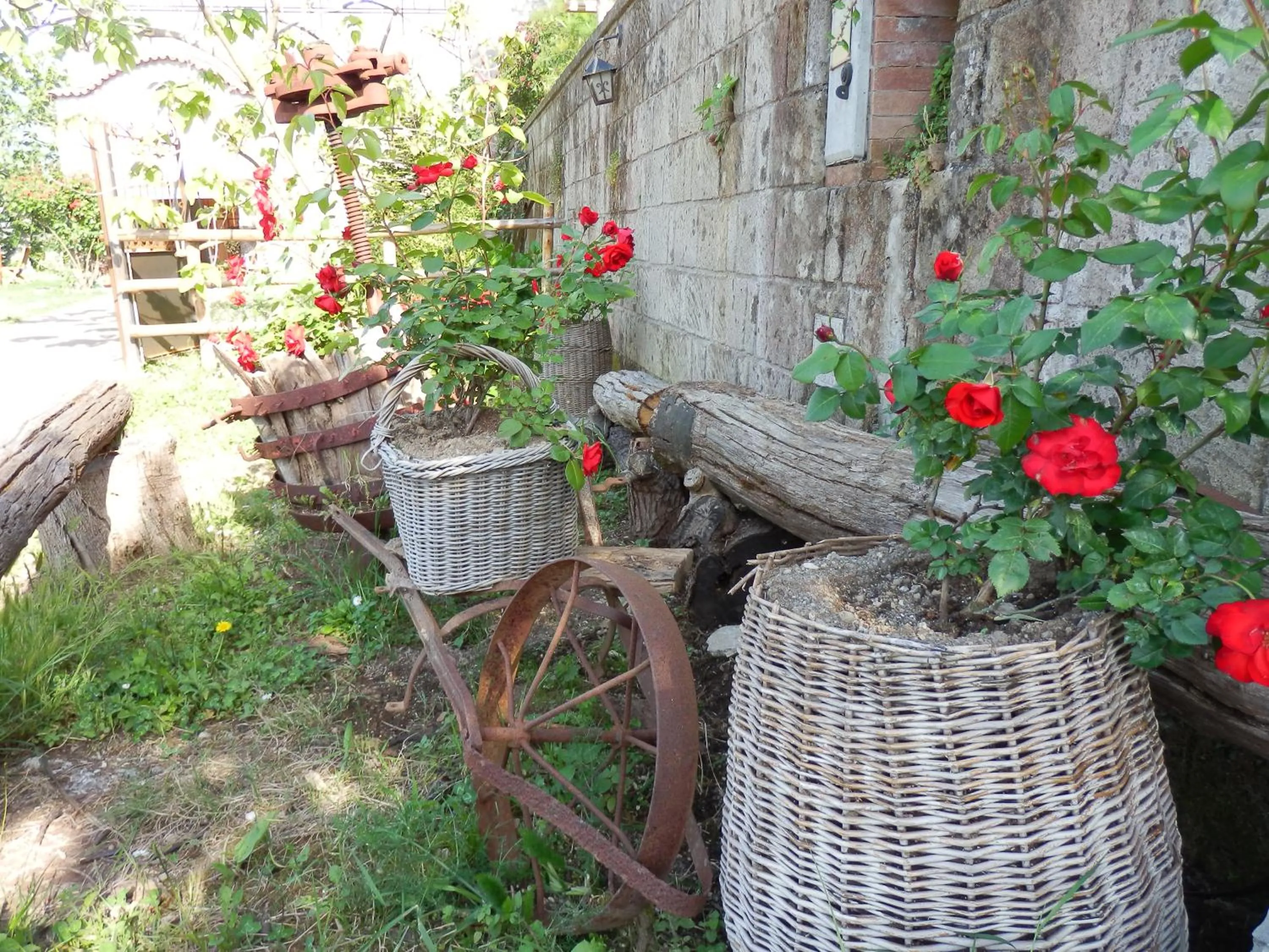 Garden in Giardino 21 Marzo