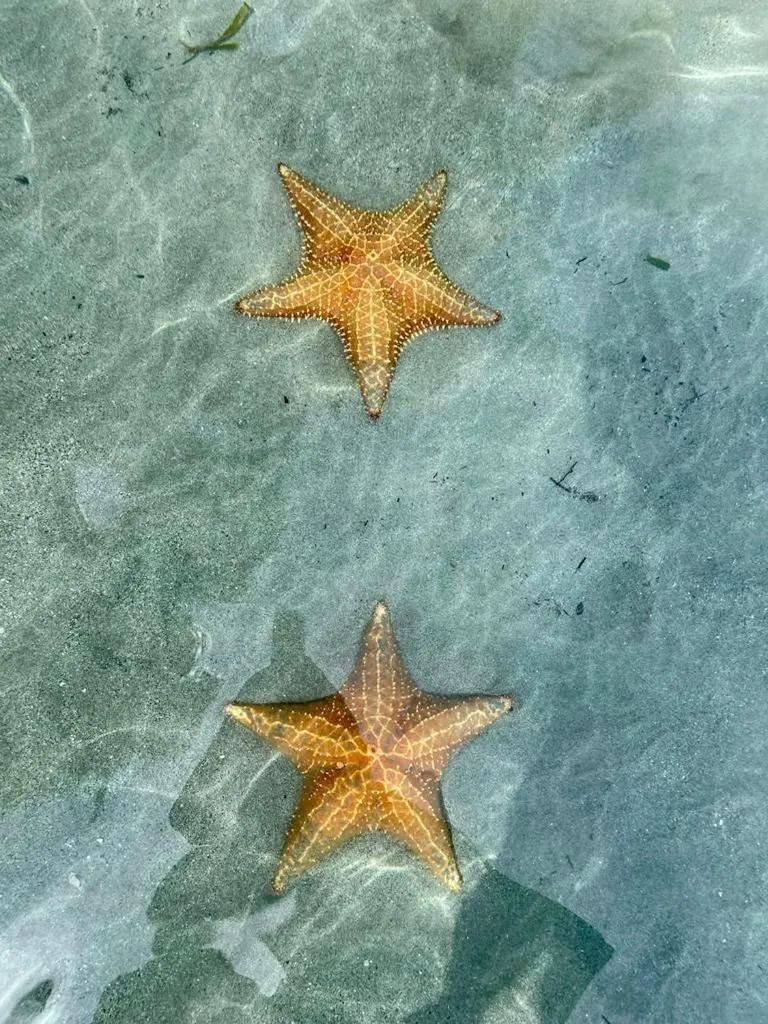 Casa Acuario Boutique Hotel