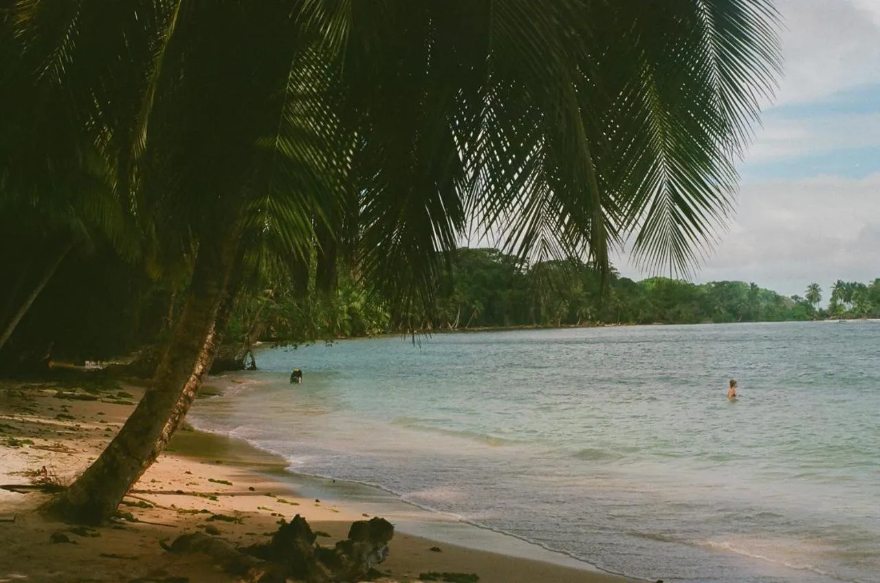 Beach in Casa Acuario Boutique Hotel
