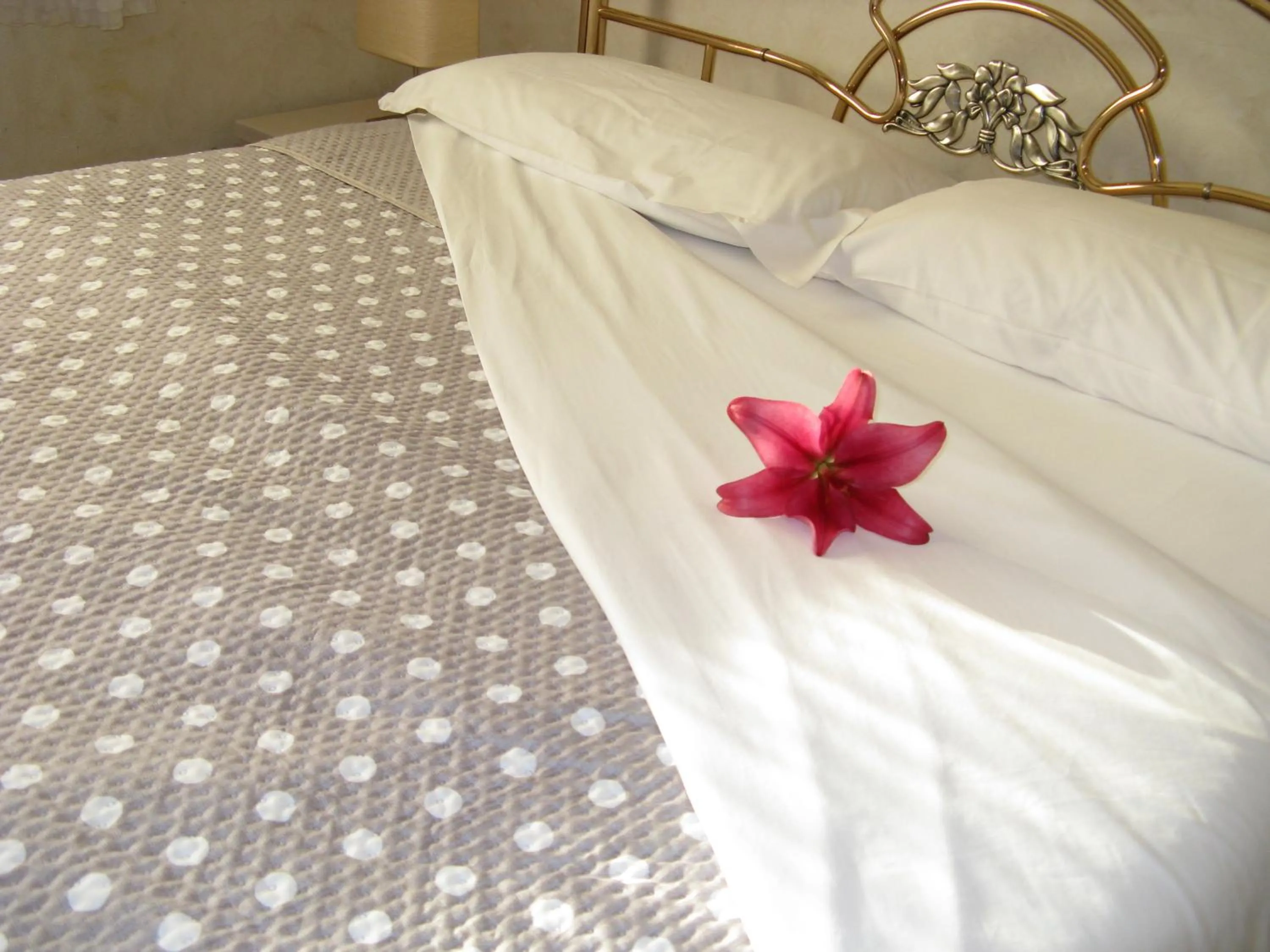Photo of the whole room, Bed in B&B Nelly