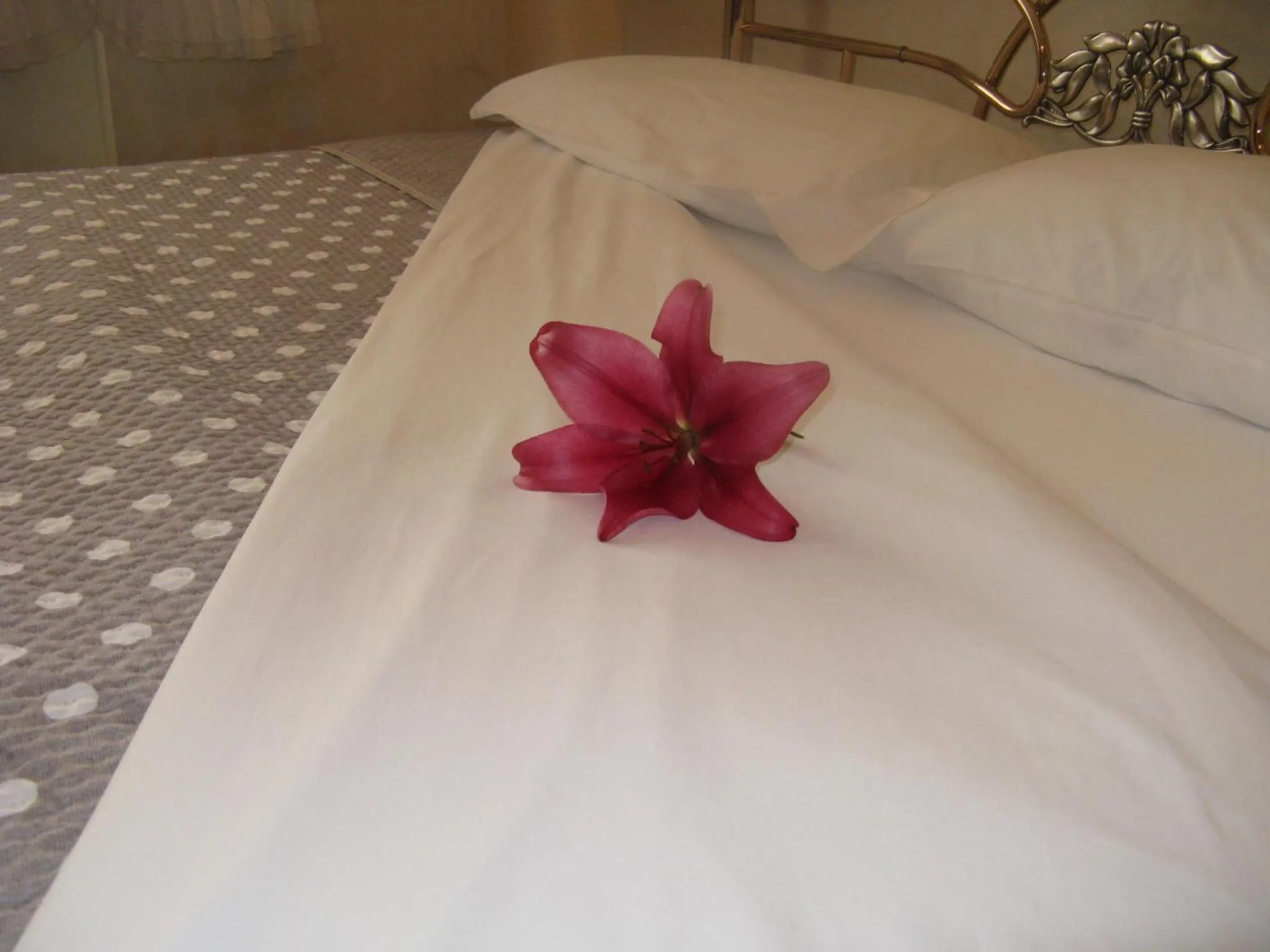 Decorative detail, Bed in B&B Nelly
