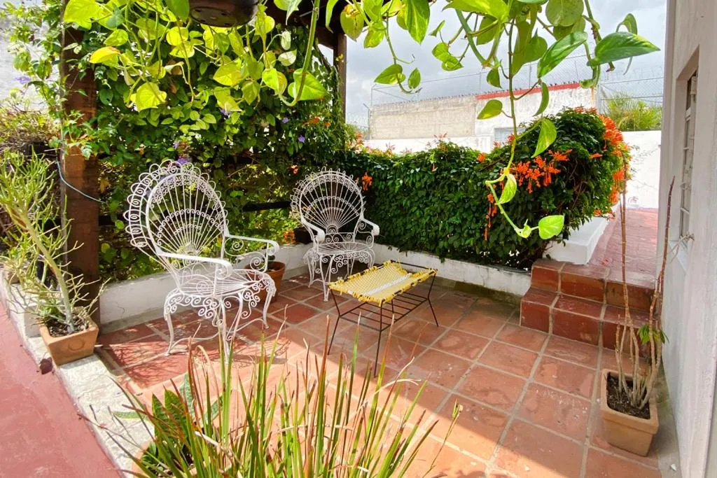 Balcony/Terrace in Casa Canario Hostel