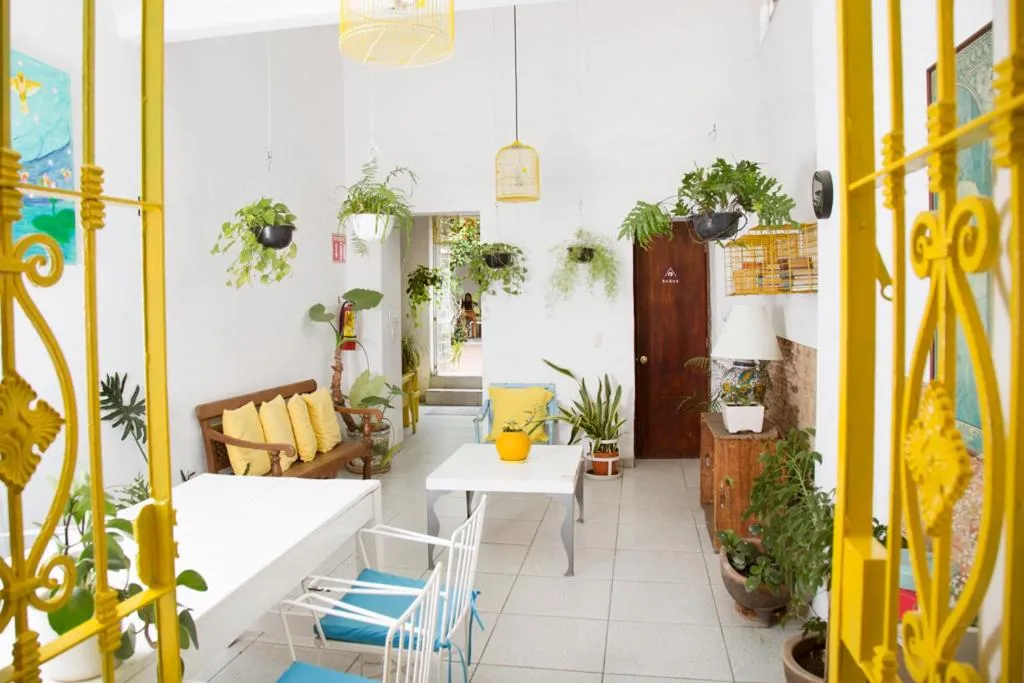 Lobby or reception in Casa Canario Hostel