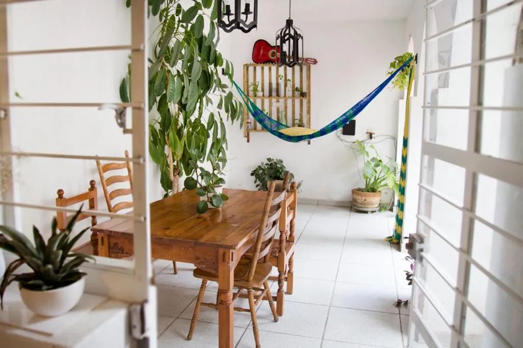 Restaurant/places to eat in Casa Canario Hostel