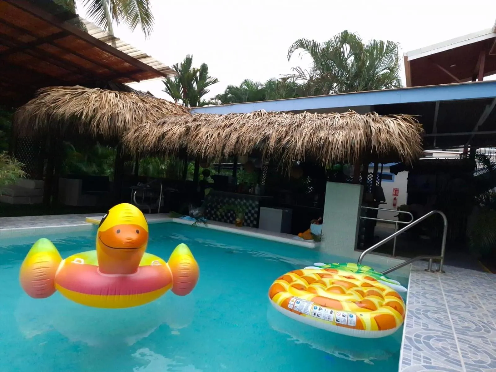 Day in CLUB IBIZA - Party Hotel & Beach Club