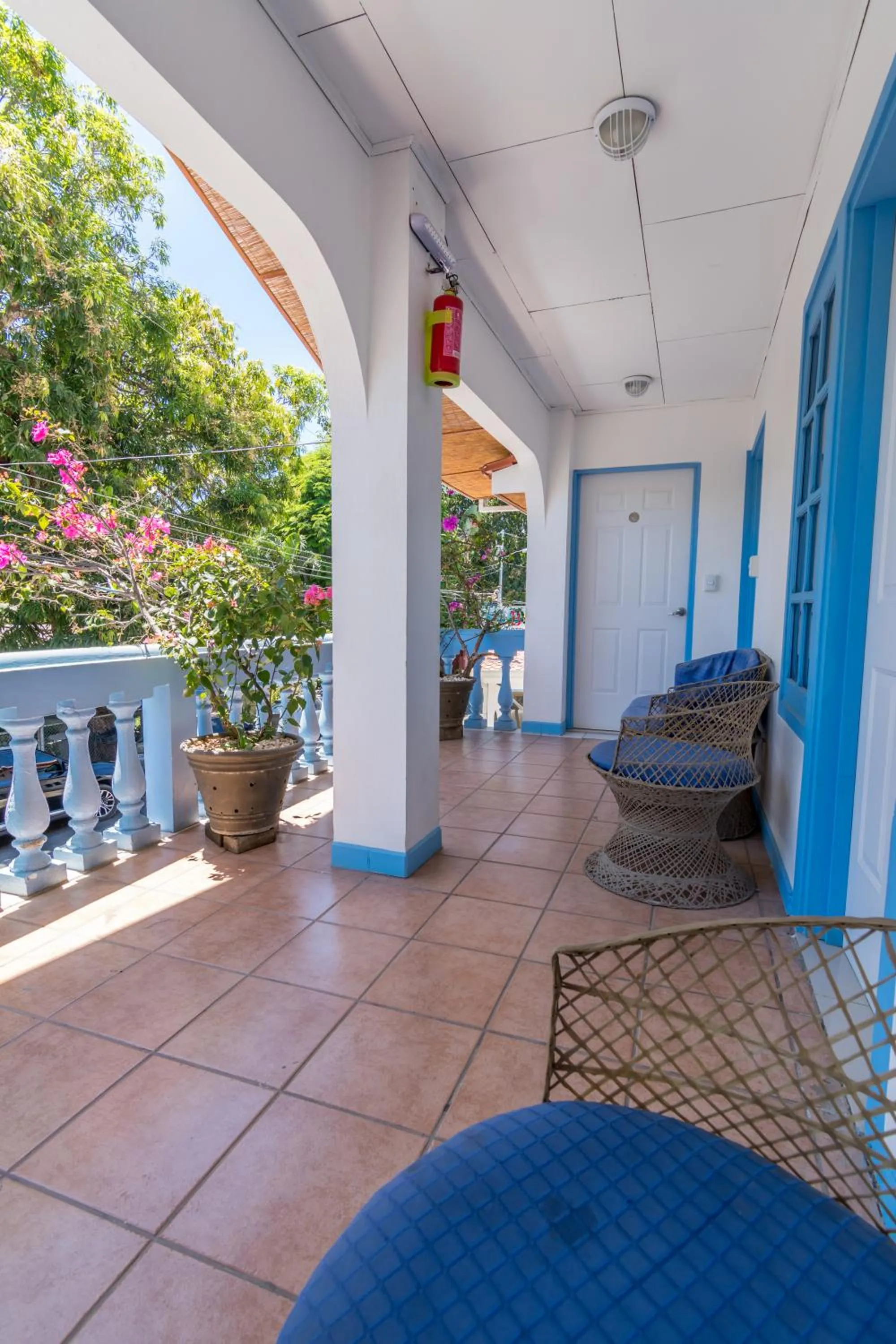 Area and facilities in CLUB IBIZA - Party Hotel & Beach Club